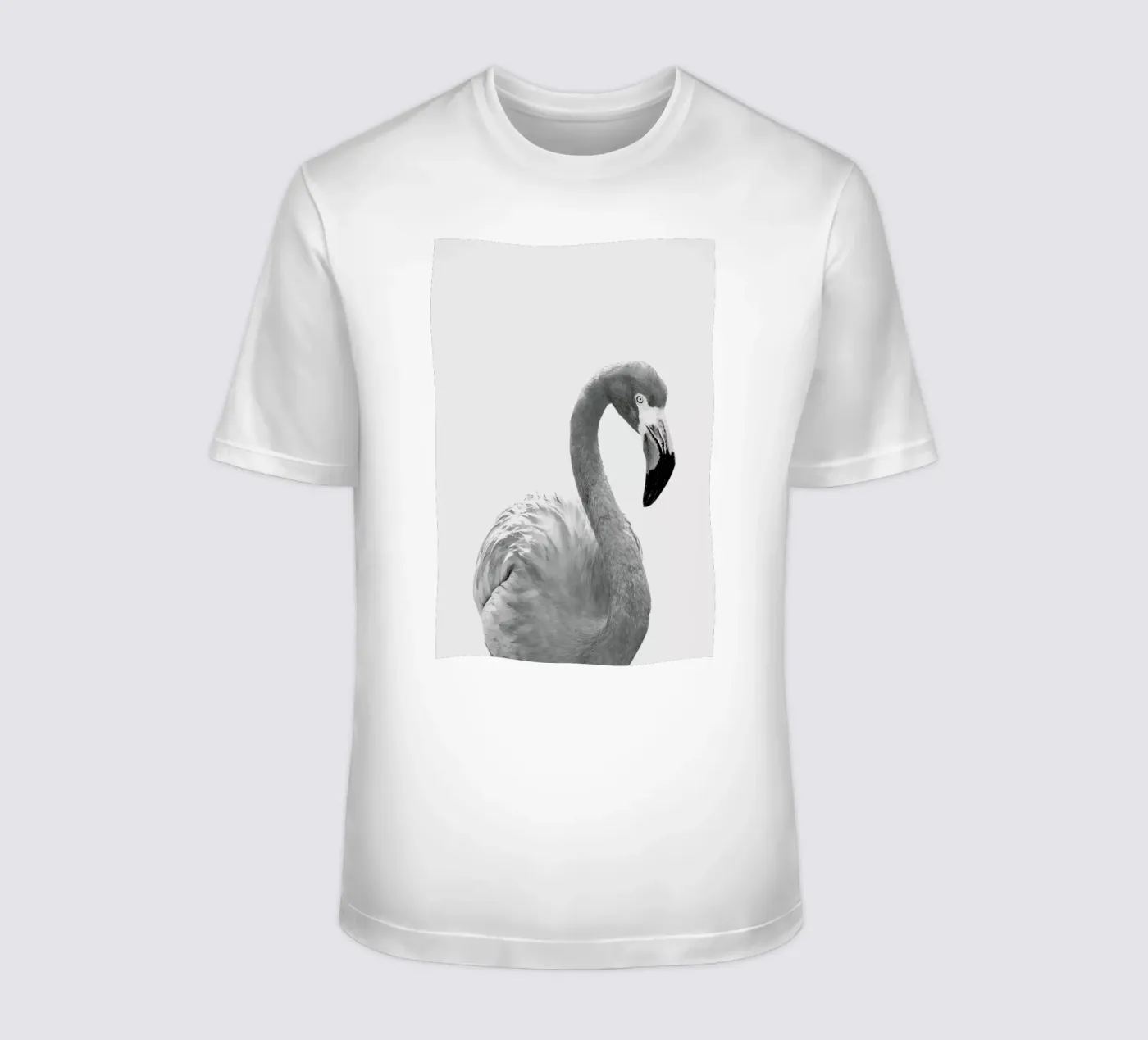 Flamingo t-shirt da Paws & Claws