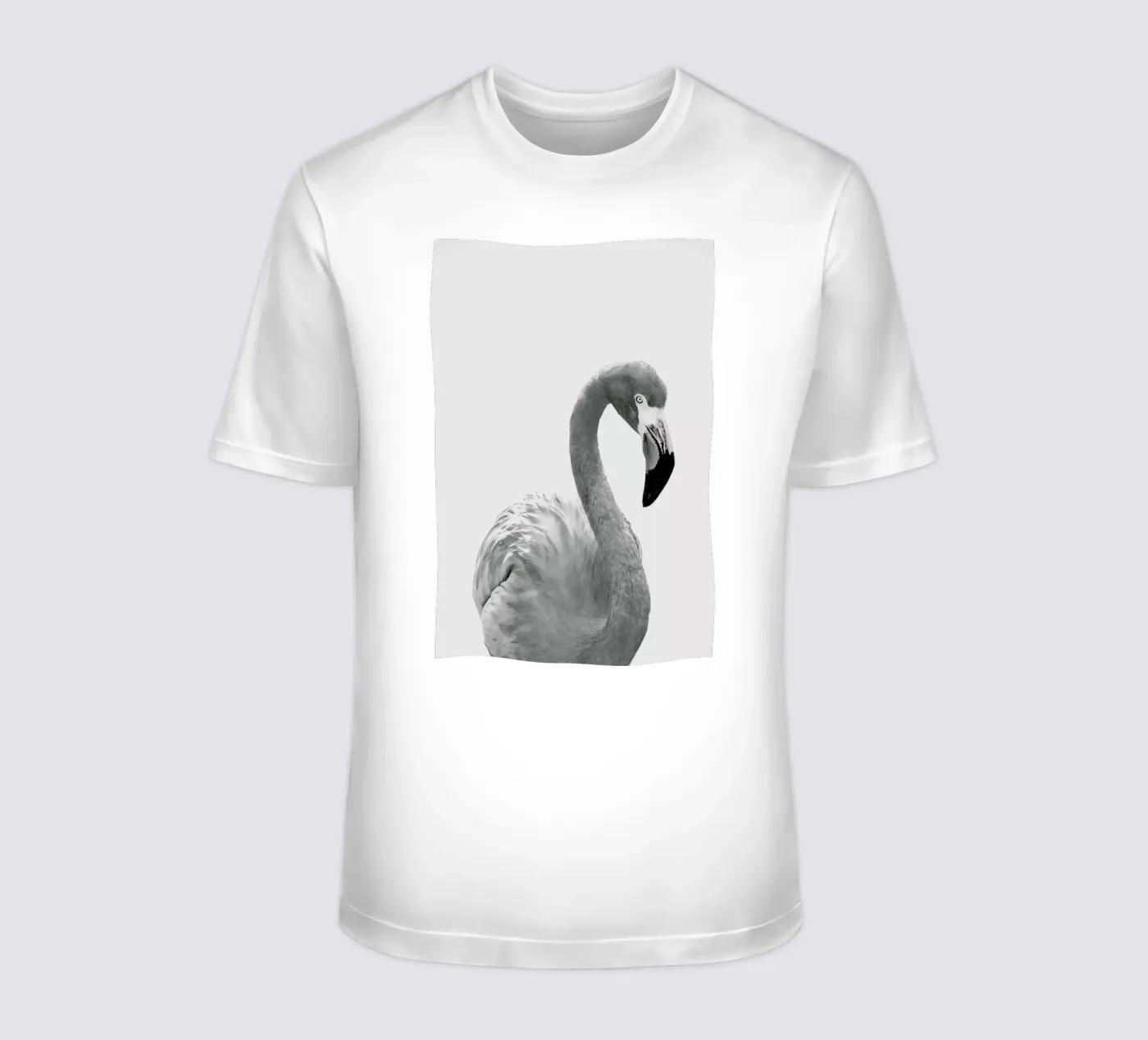 Flamingo t-shirt da Paws & Claws