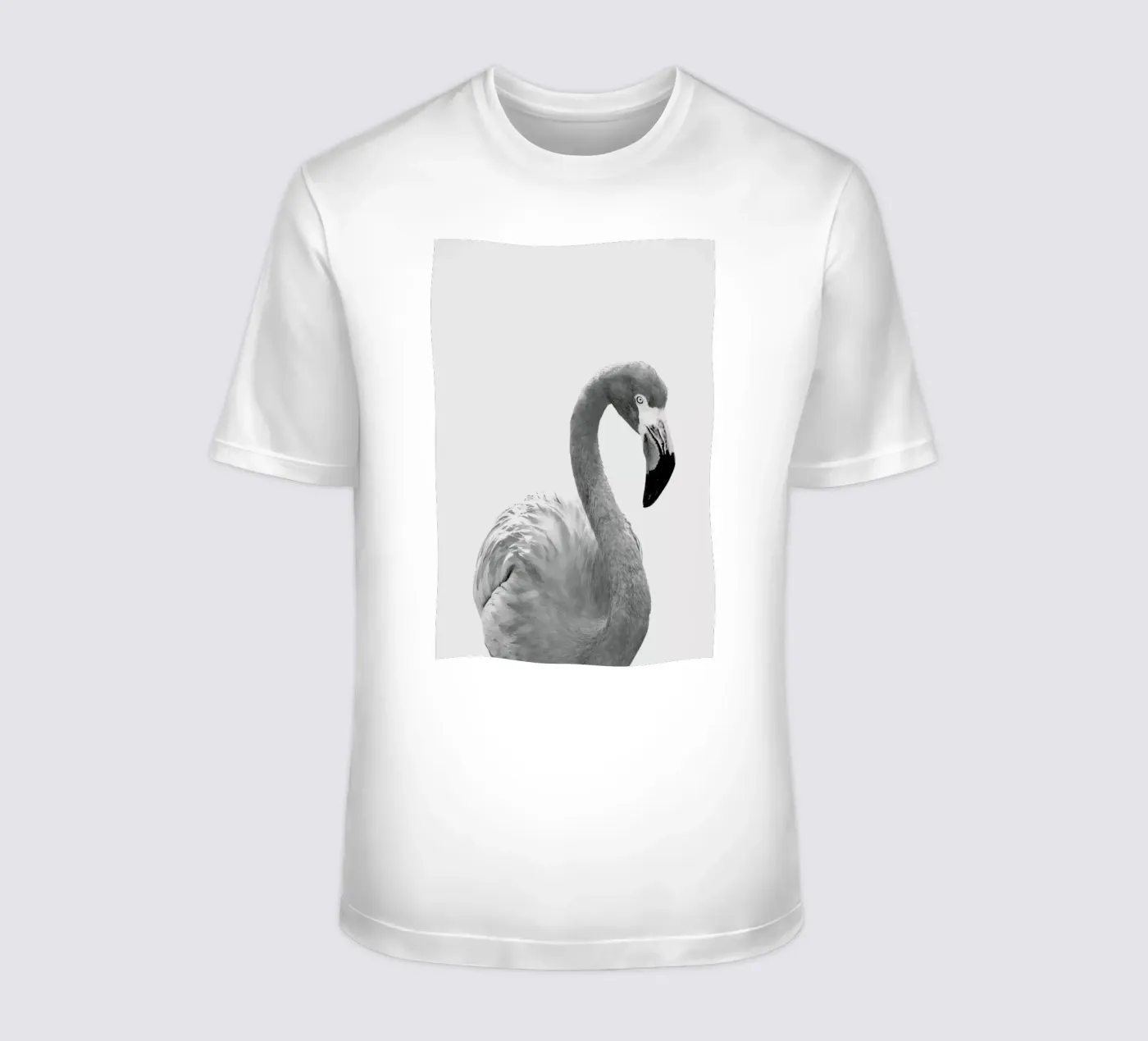 Flamingo t-shirt da Paws & Claws