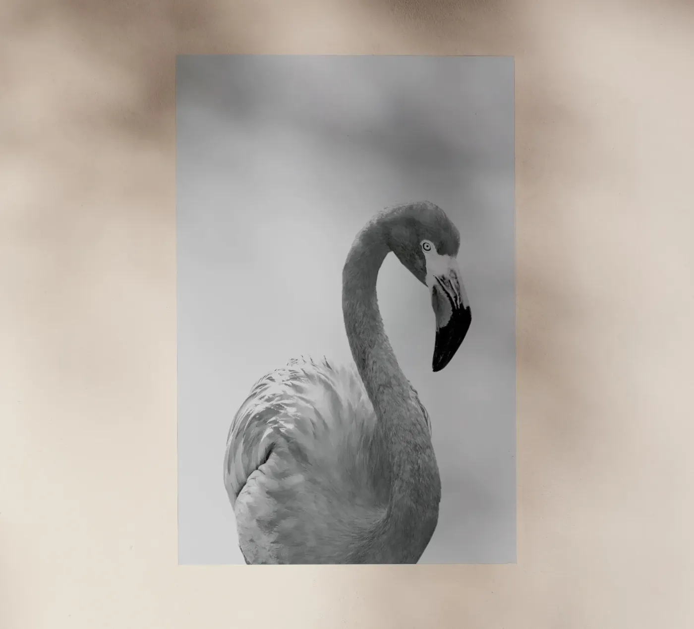 Flamingo backlit film by Paws & Claws