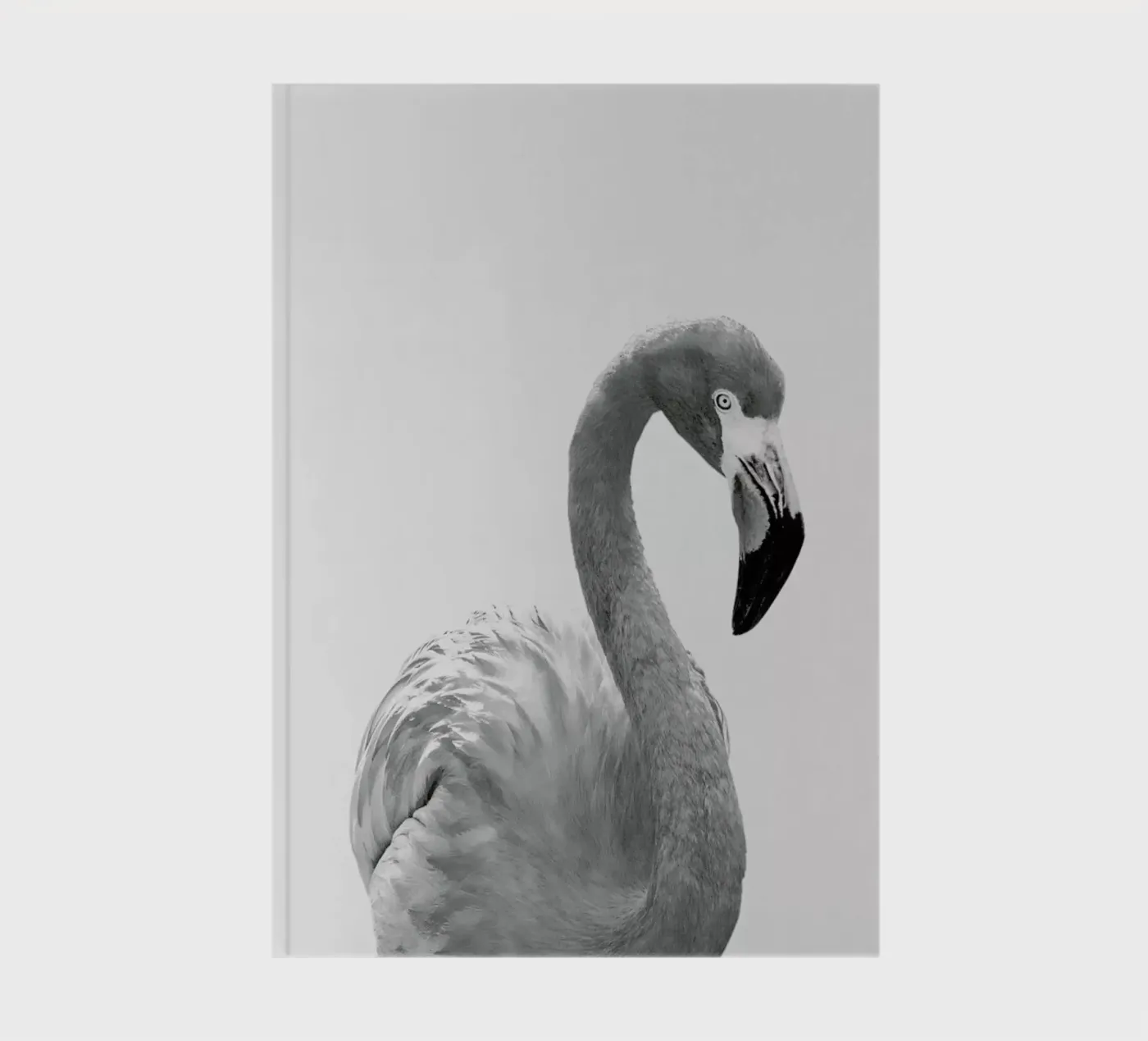 Flamingo notebook by Paws & Claws