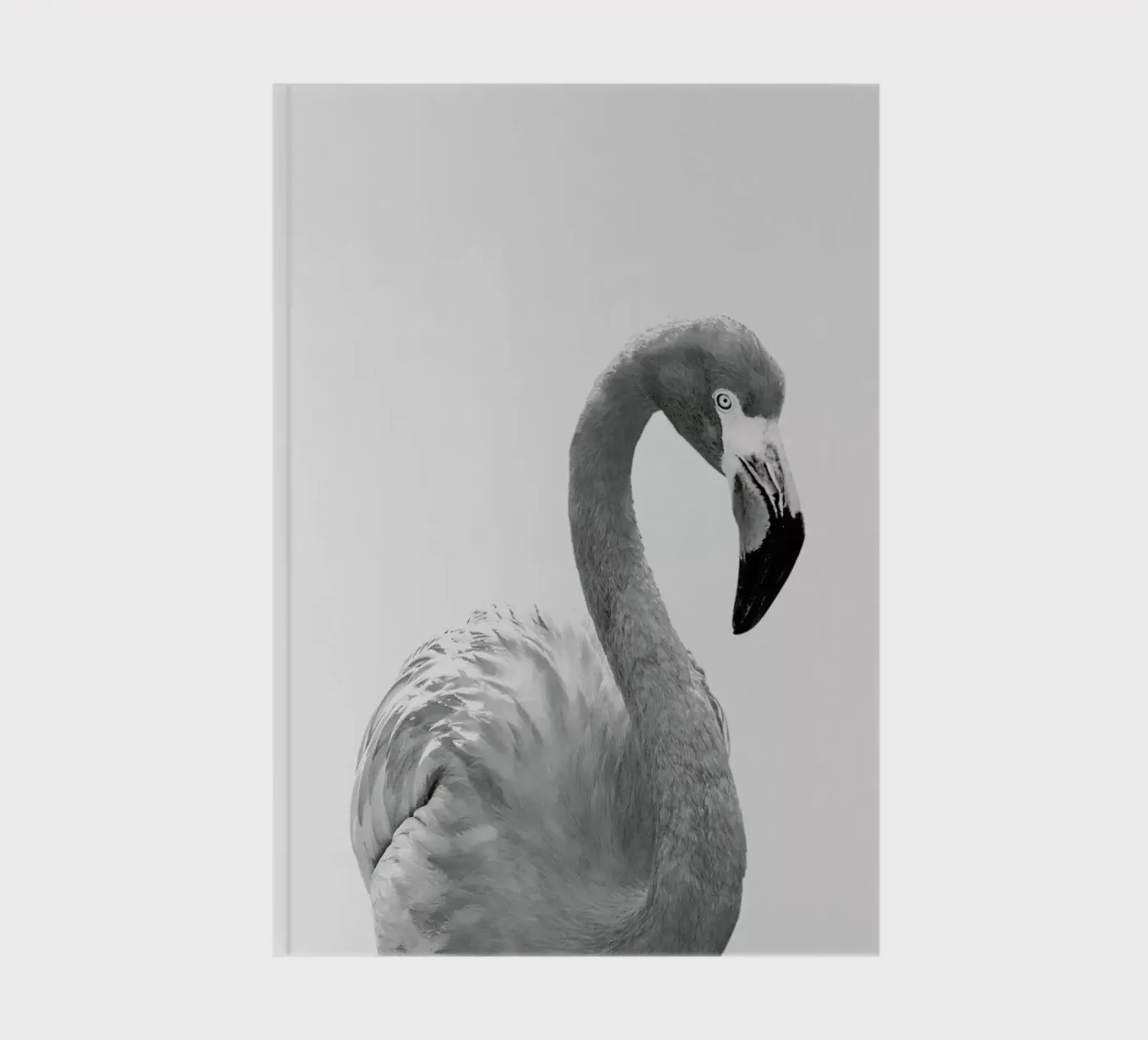Flamingo notebook by Paws & Claws