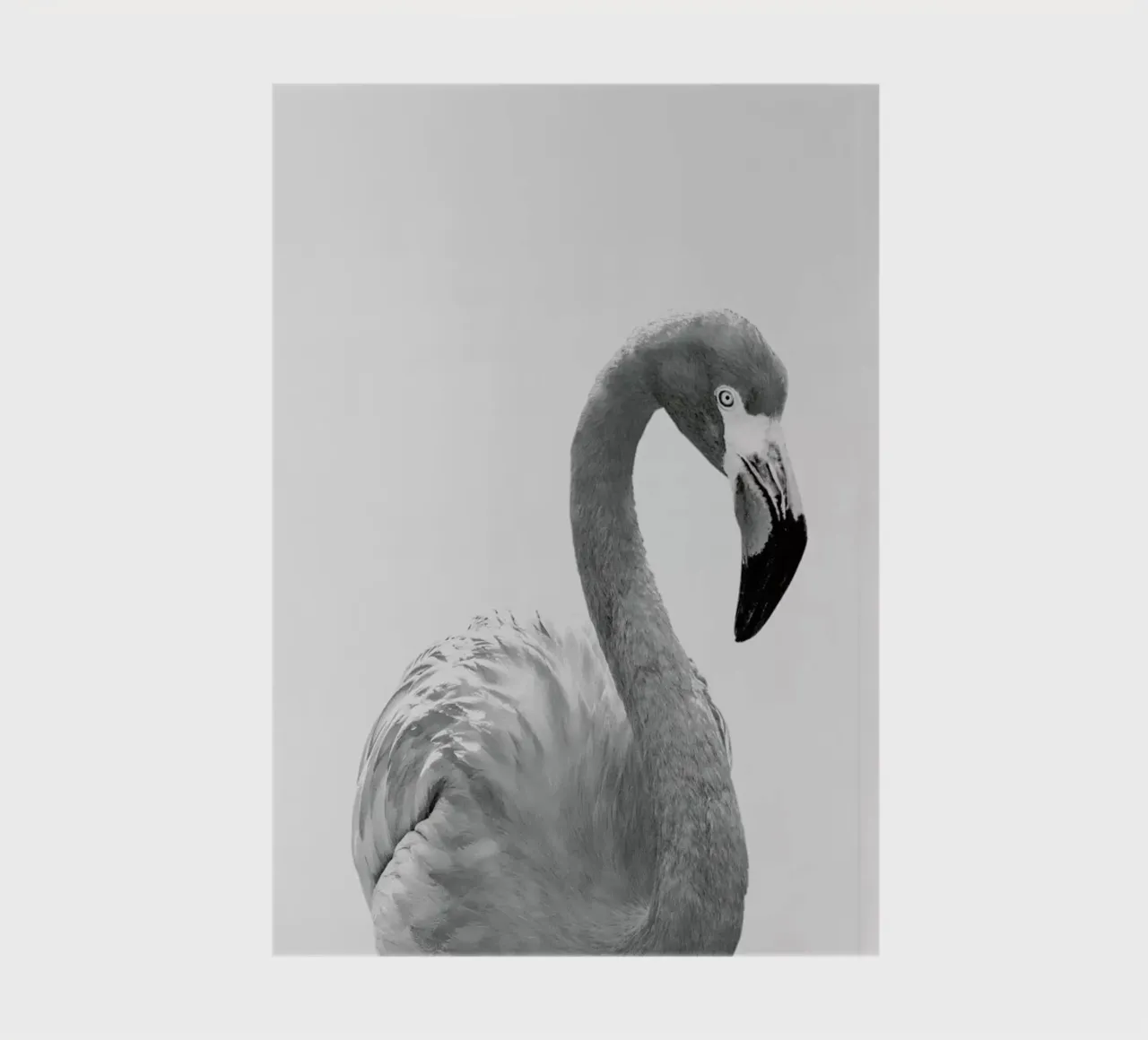 Flamingo notebook by Paws & Claws