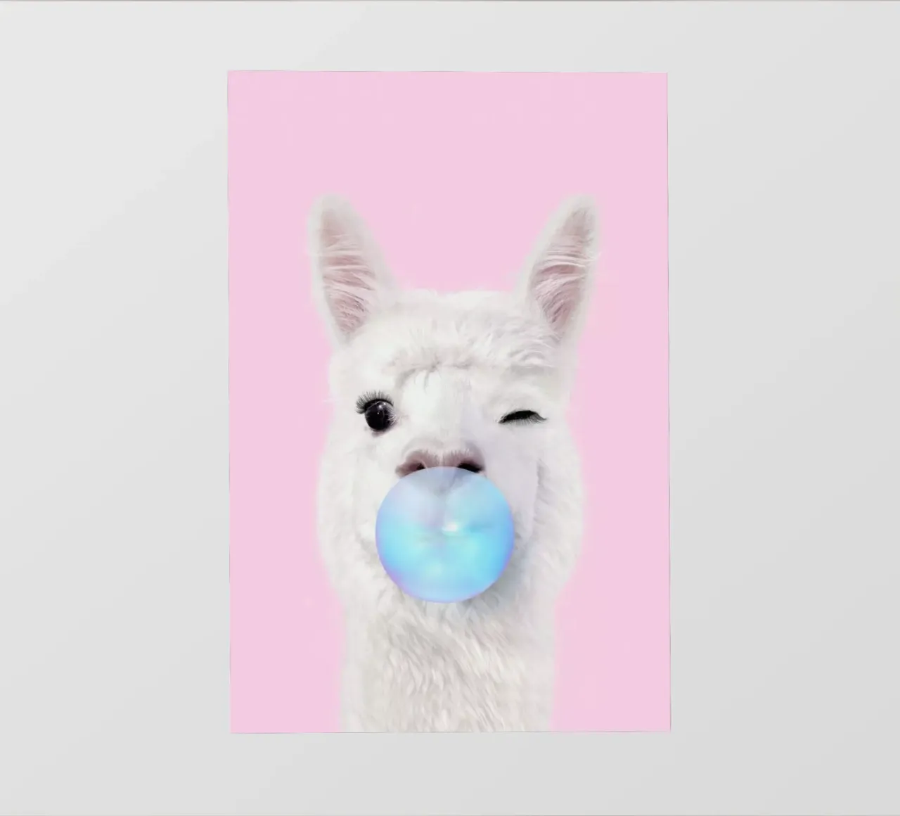 Bubblegum Lama pellicola backlit da Paul Fuentes Design