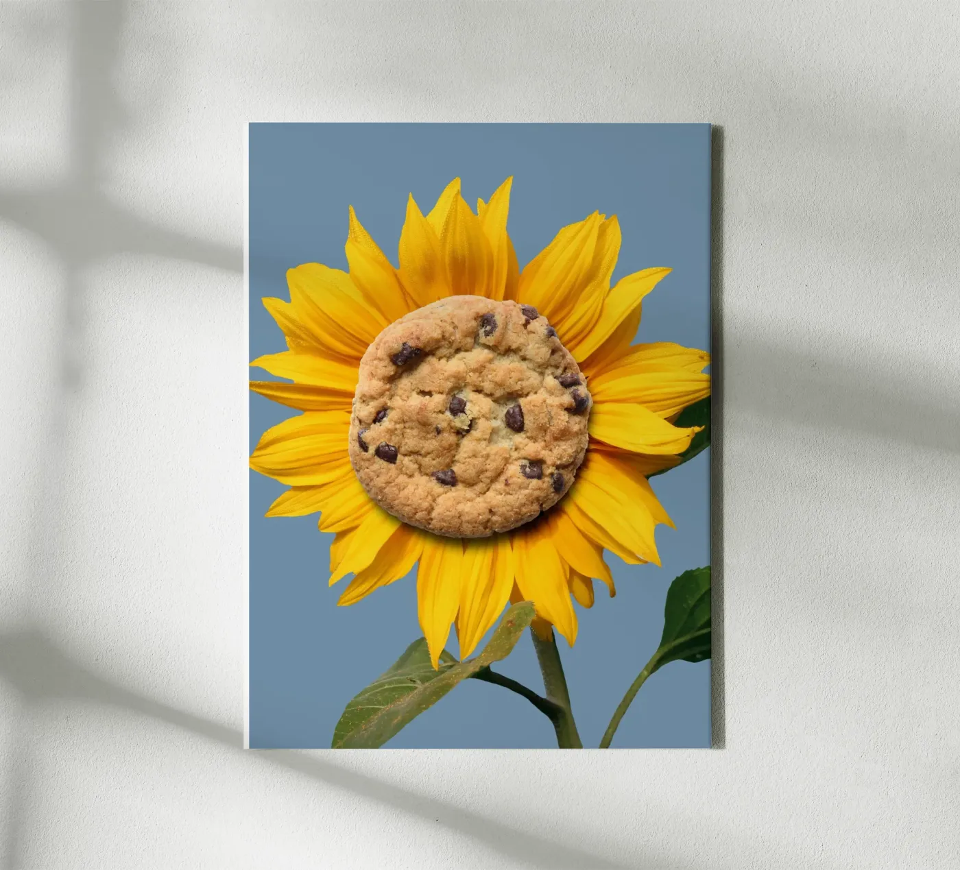 Sunflower cookie canvas by Little Dean