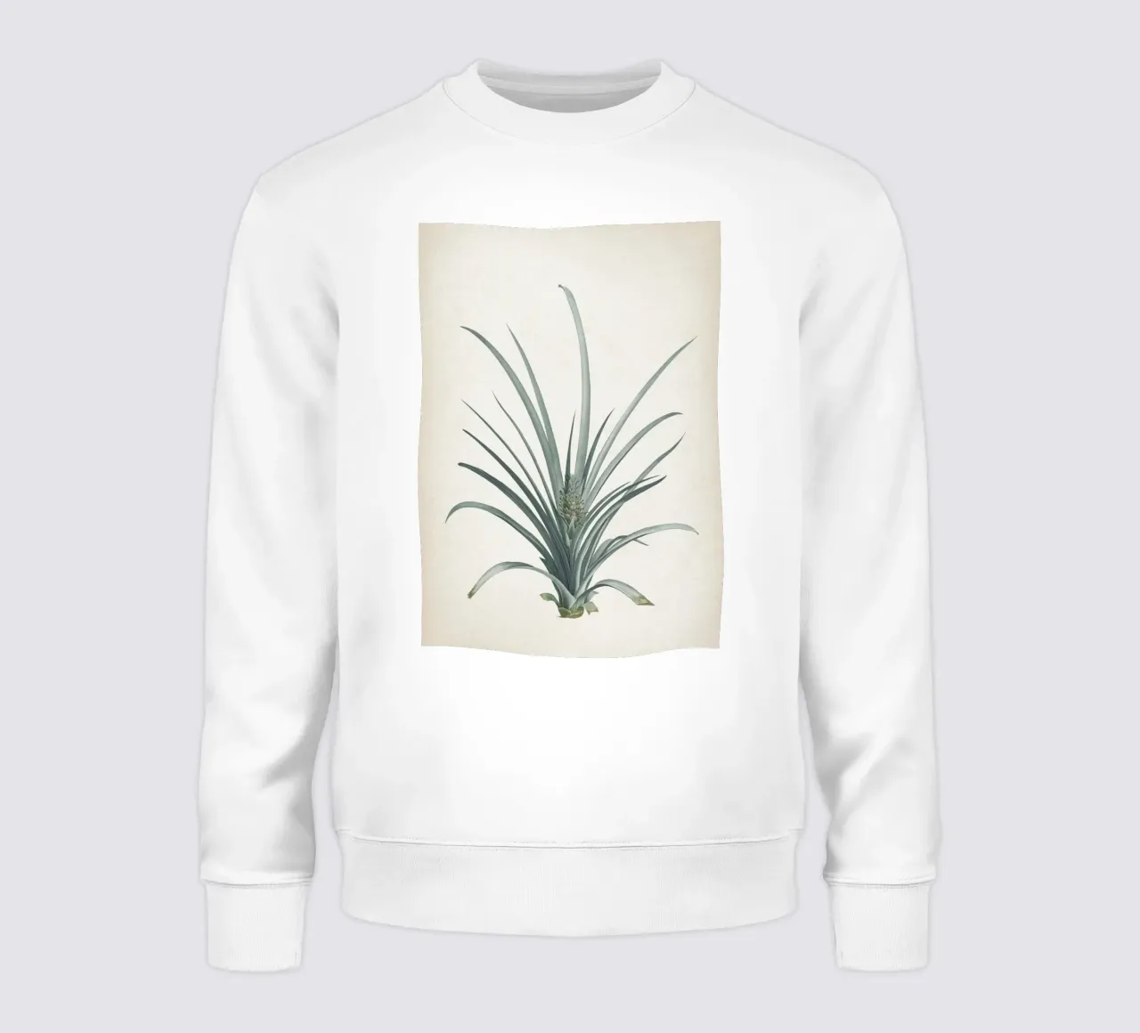 Vintage Redouté 2 Bromelia Ananas felpa da Vintage Print Collection
