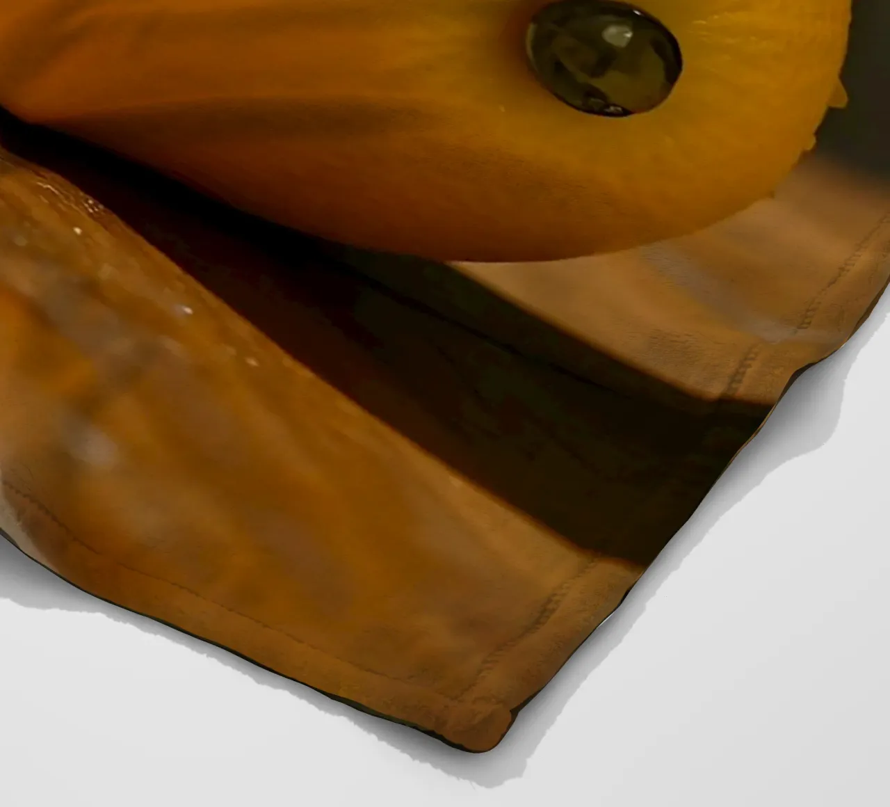 zukünftige Limonade Fleecedecke von Anita's Dream