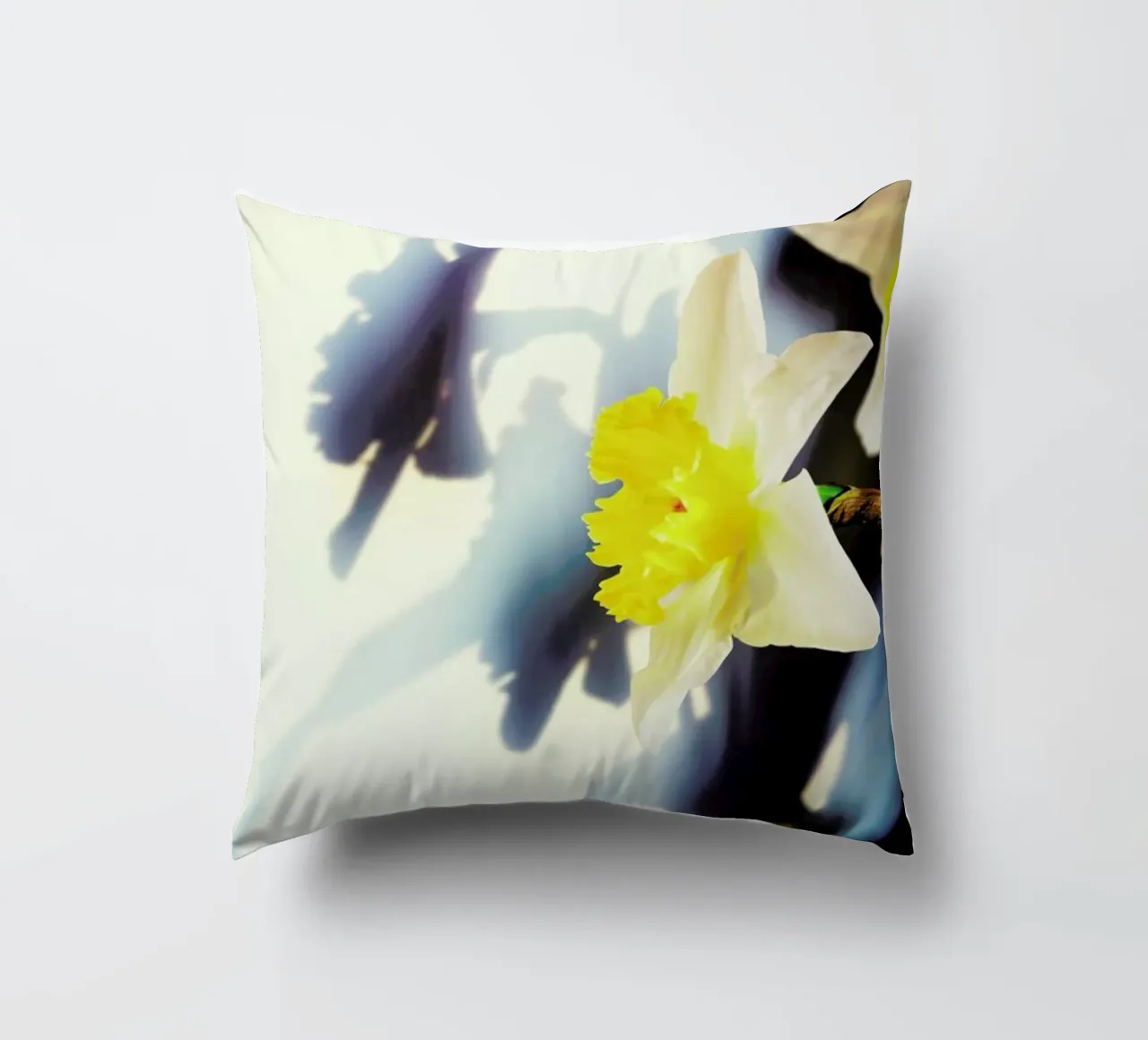 Daffodil cuscino da Angelo Cerantola