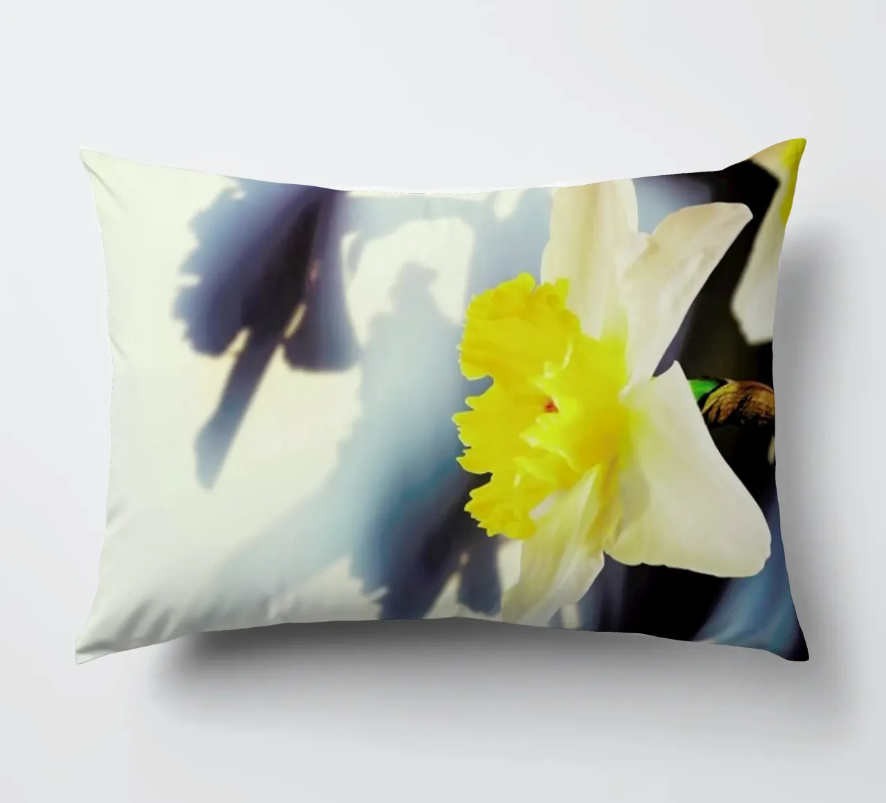 Daffodil cuscino da Angelo Cerantola