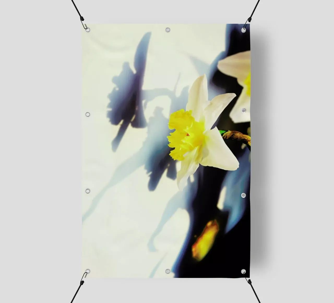 Daffodil telo in pvc da Angelo Cerantola
