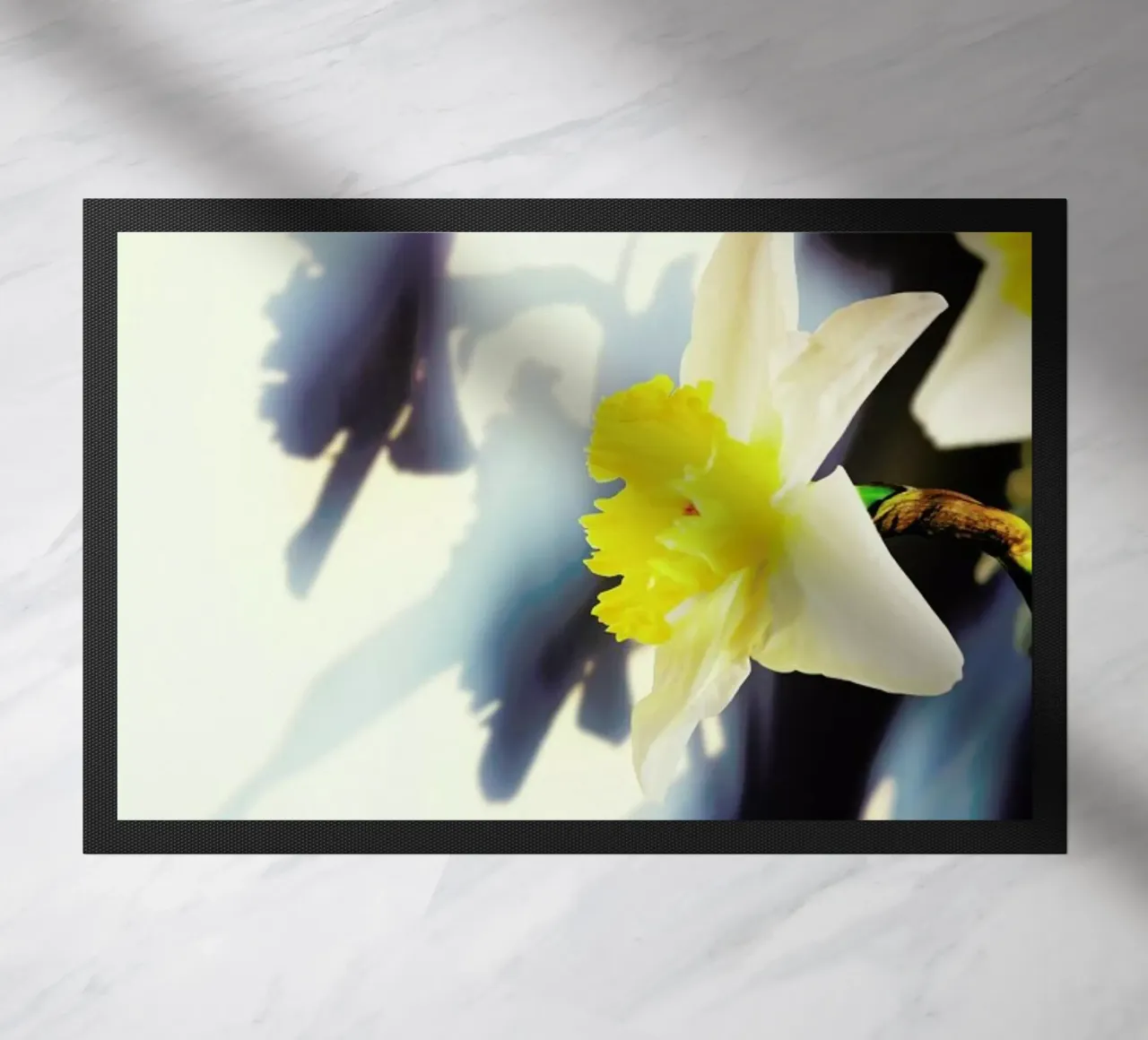 Daffodil doormat by Angelo Cerantola