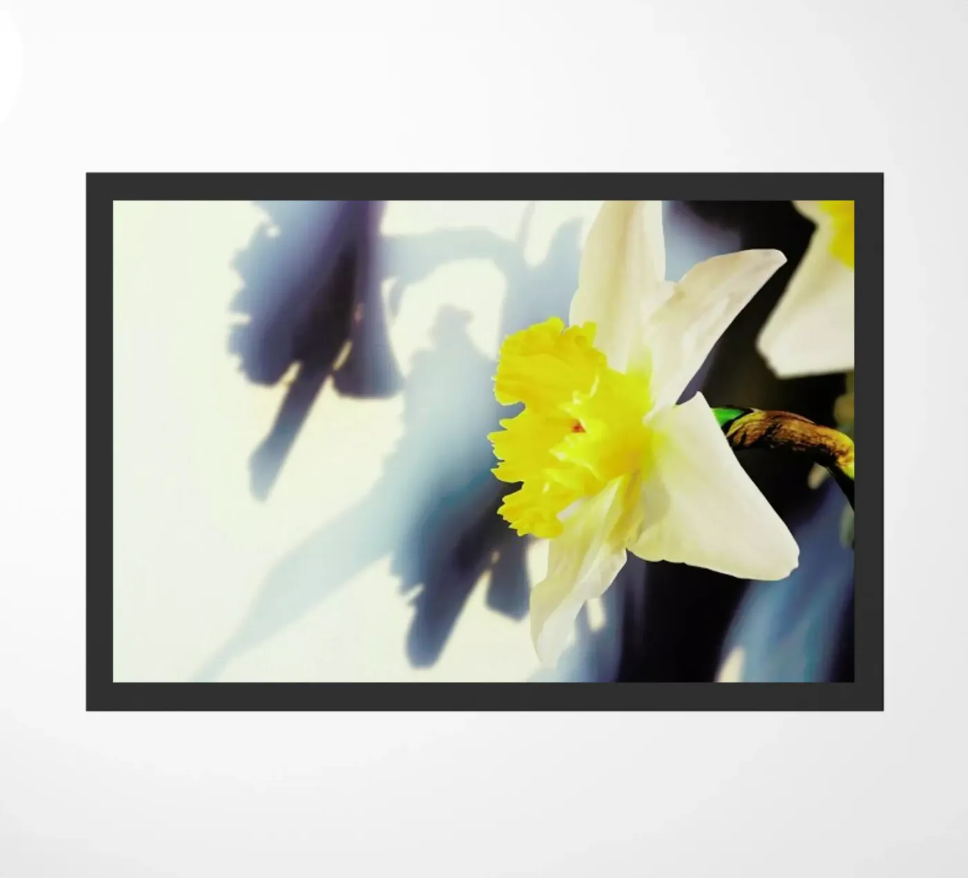 Daffodil deurmat van Angelo Cerantola