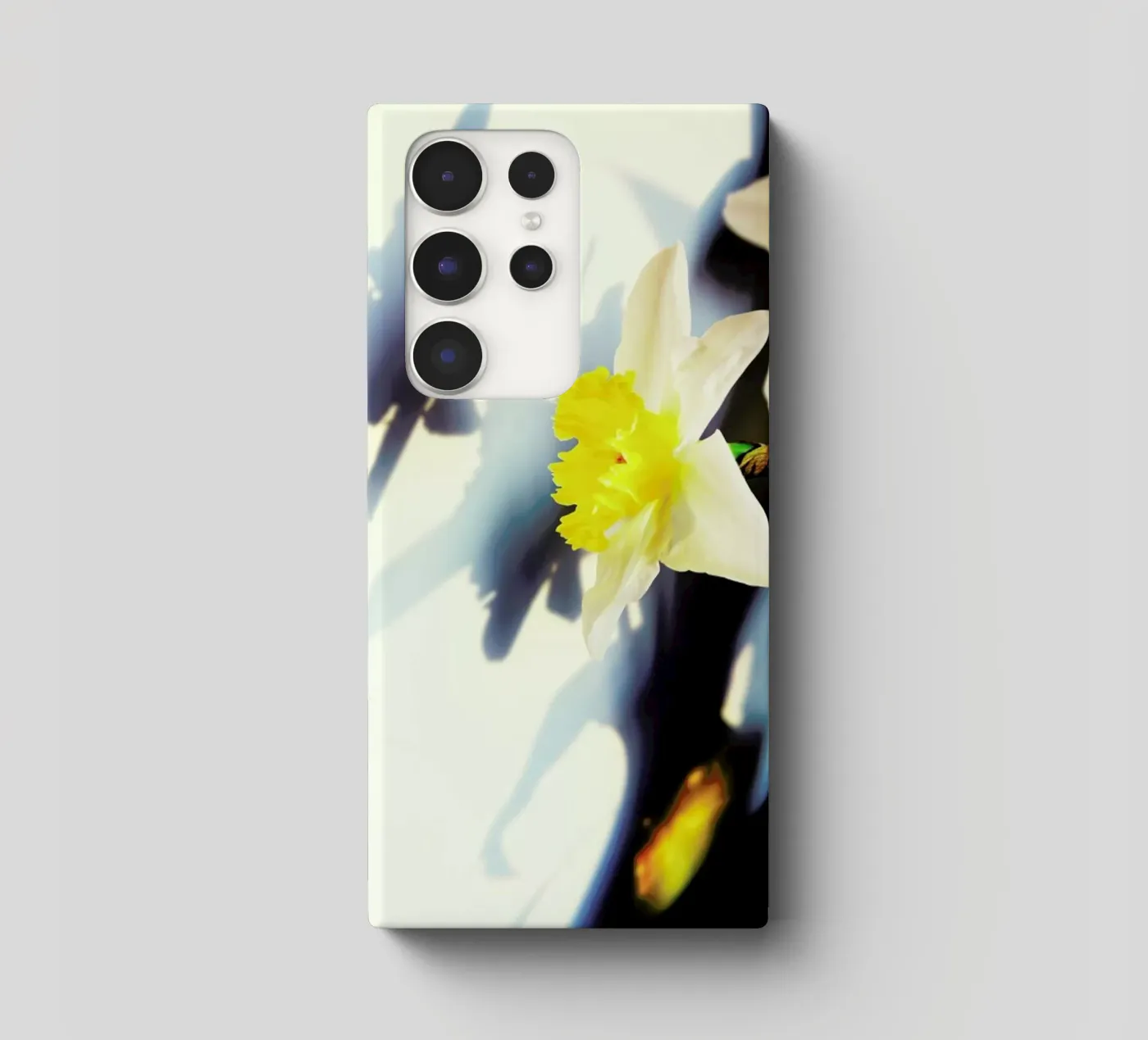 Daffodil cover samsung da Angelo Cerantola