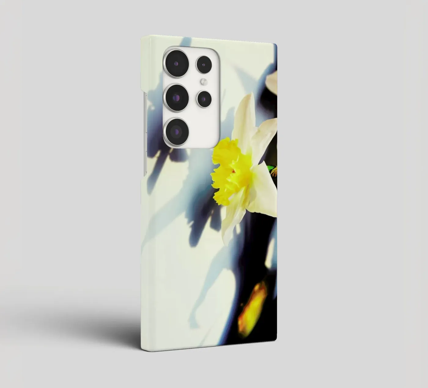 Daffodil cover samsung da Angelo Cerantola