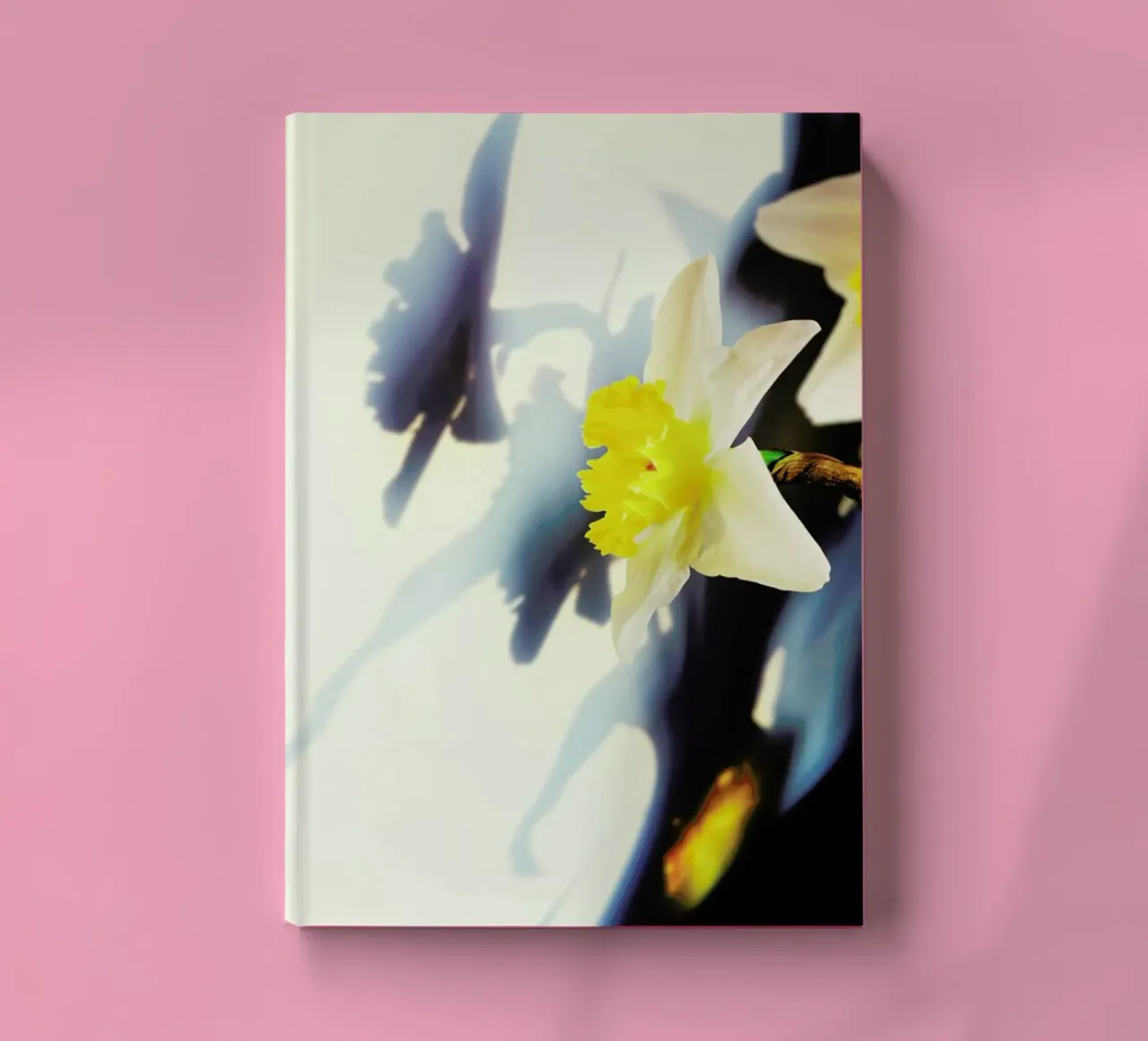 Daffodil notebook by Angelo Cerantola
