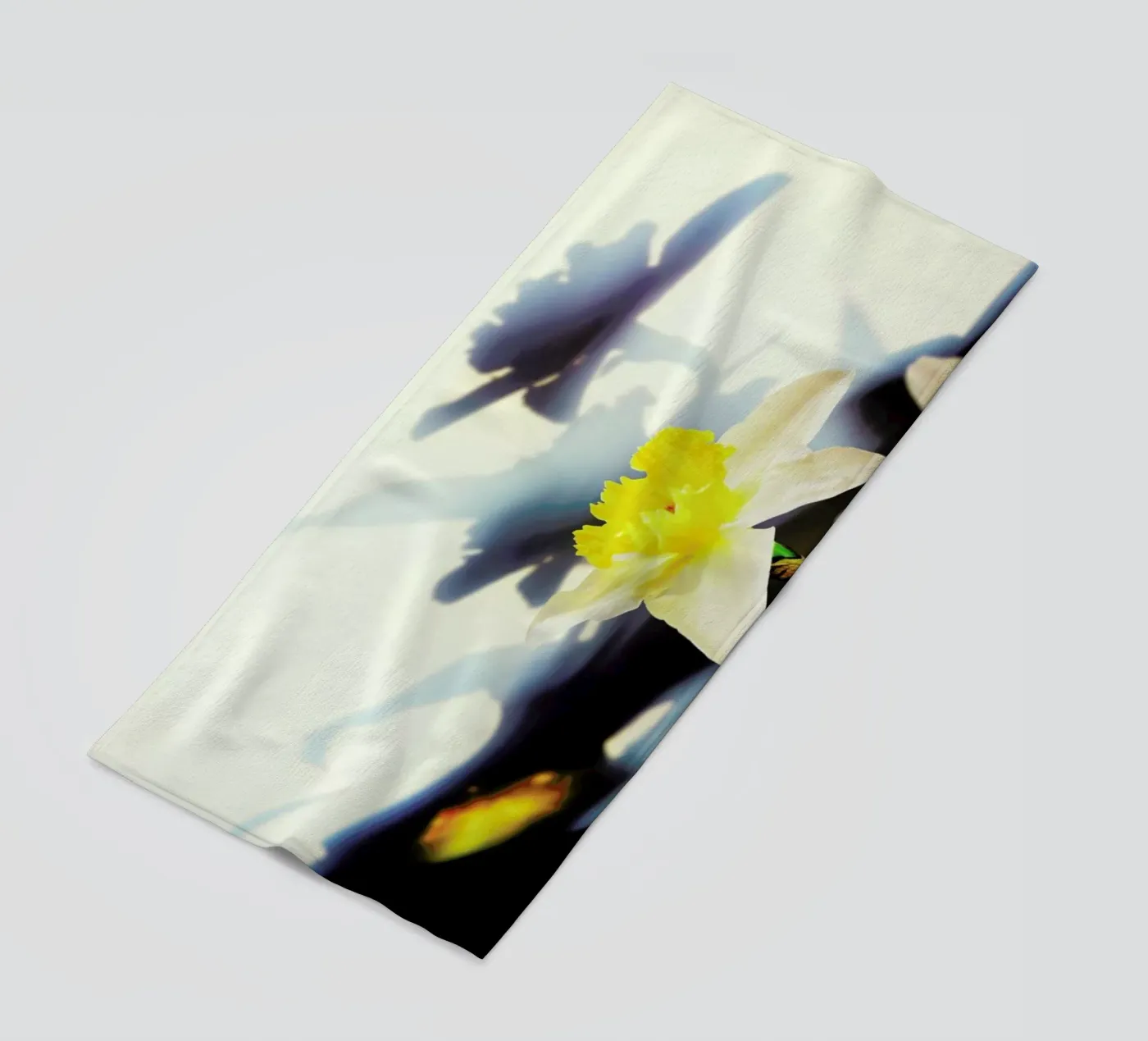 Daffodil beach towel by Angelo Cerantola