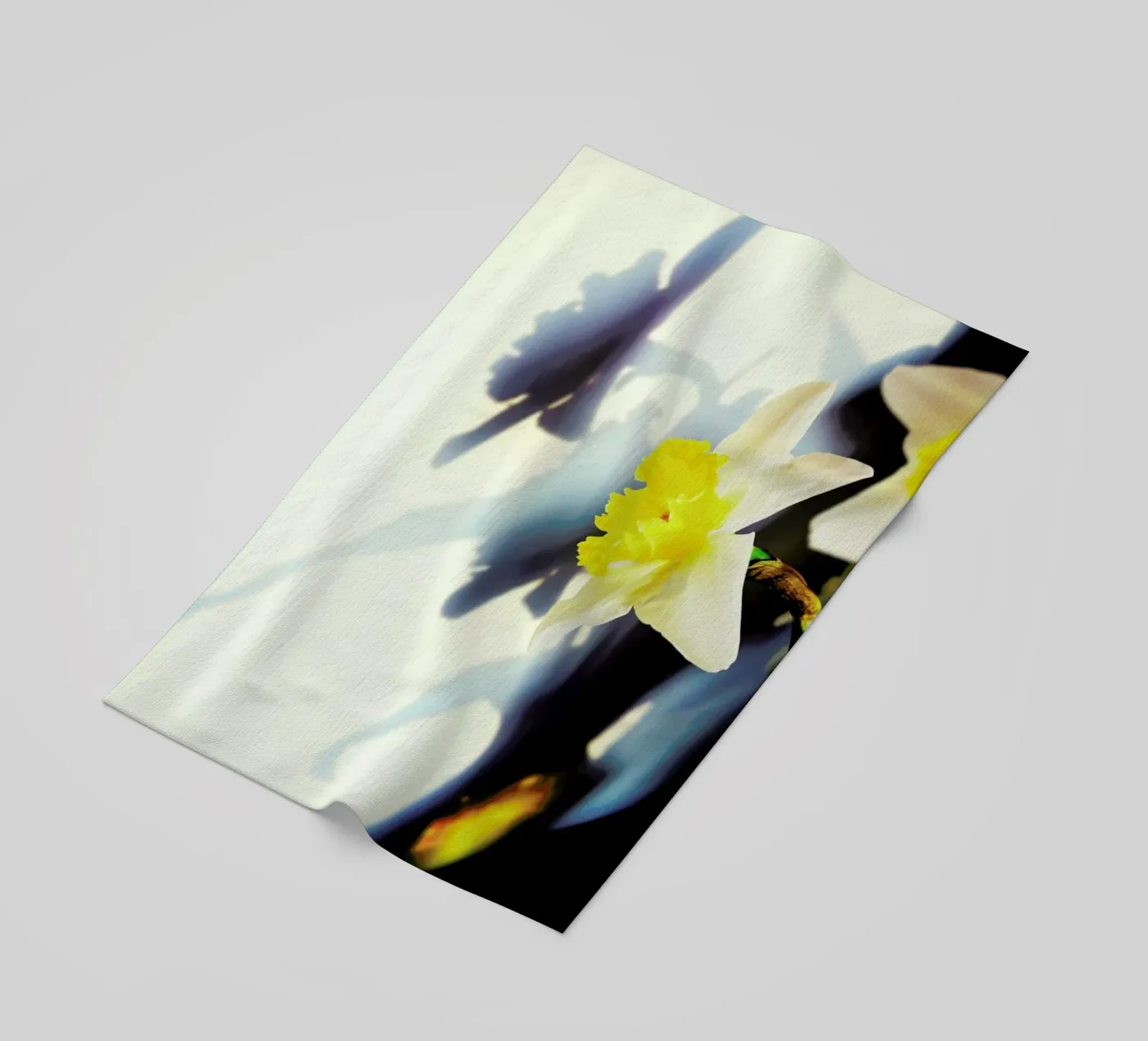 Daffodil beach towel by Angelo Cerantola