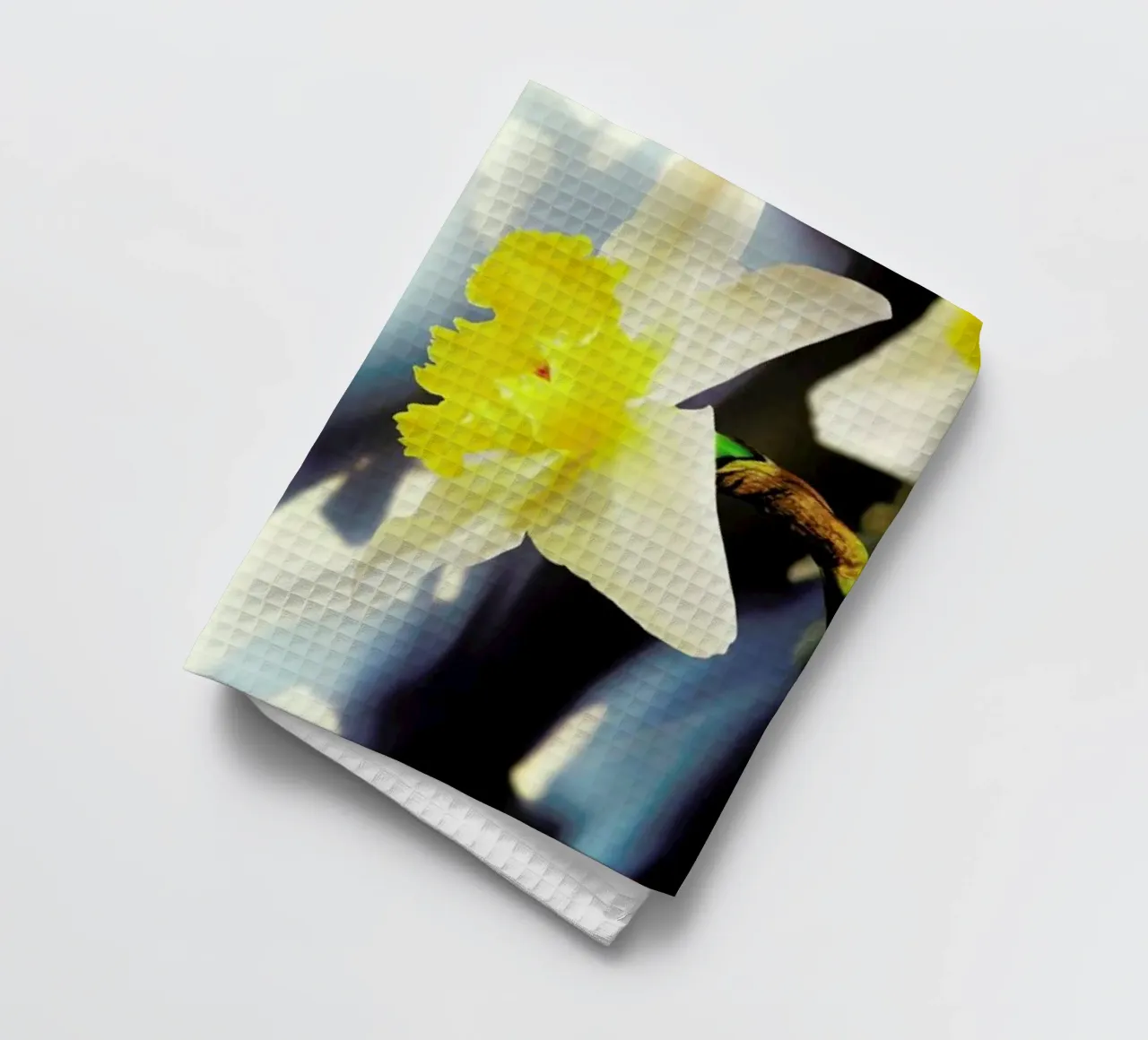 Daffodil canovaccio da cucina da Angelo Cerantola