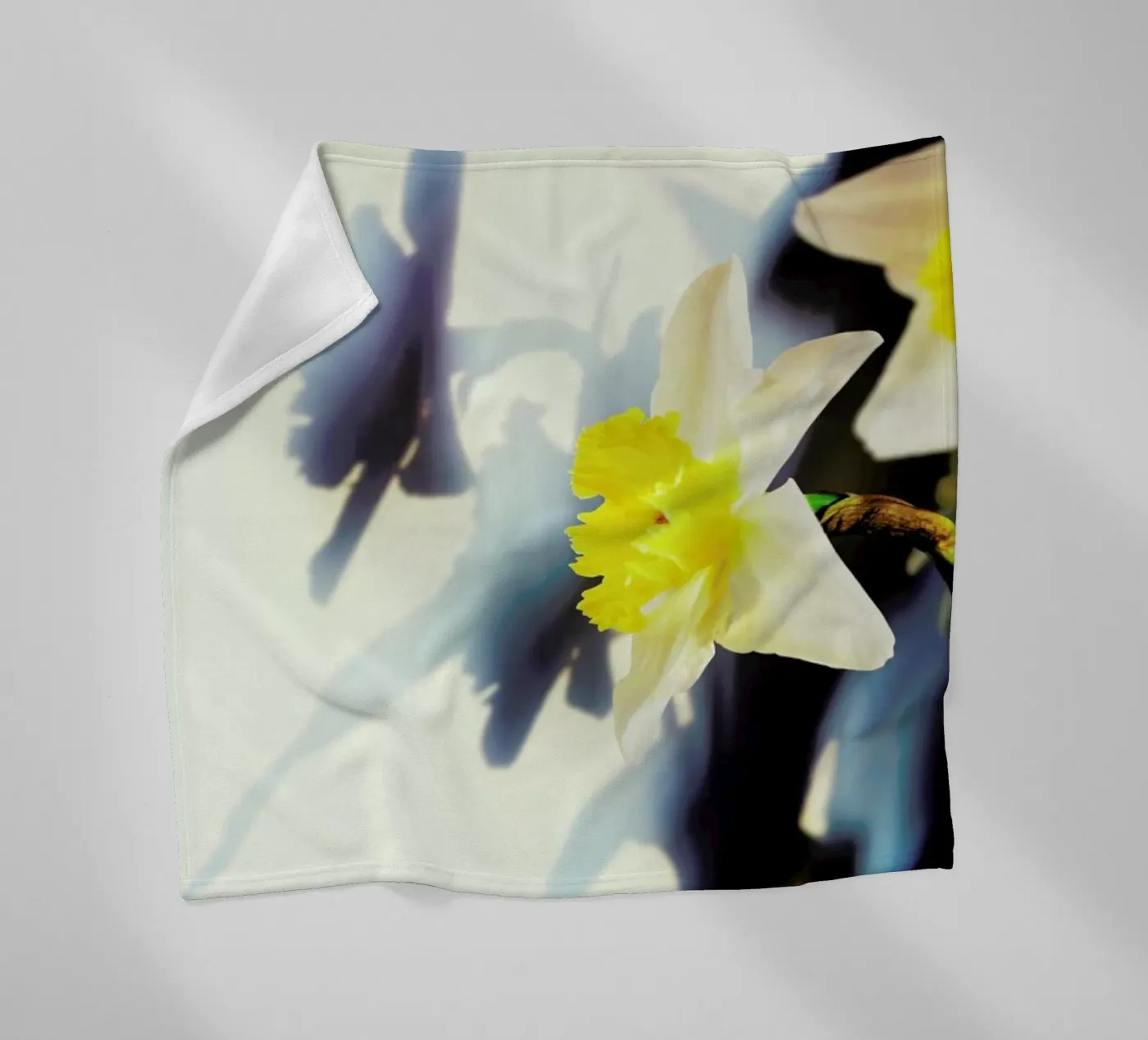 Daffodil Fleecedecke von Angelo Cerantola