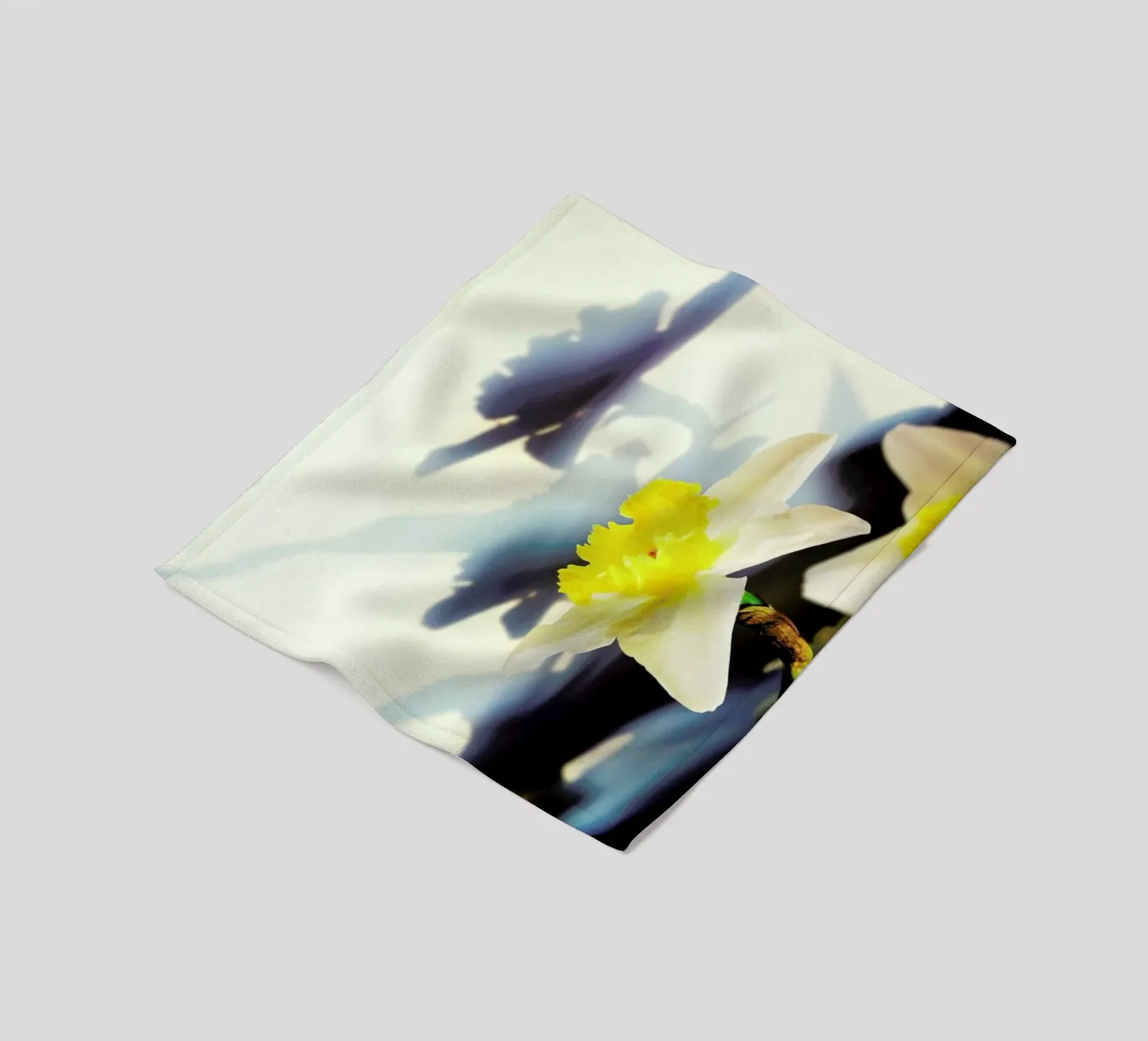 Daffodil Fleecedecke von Angelo Cerantola