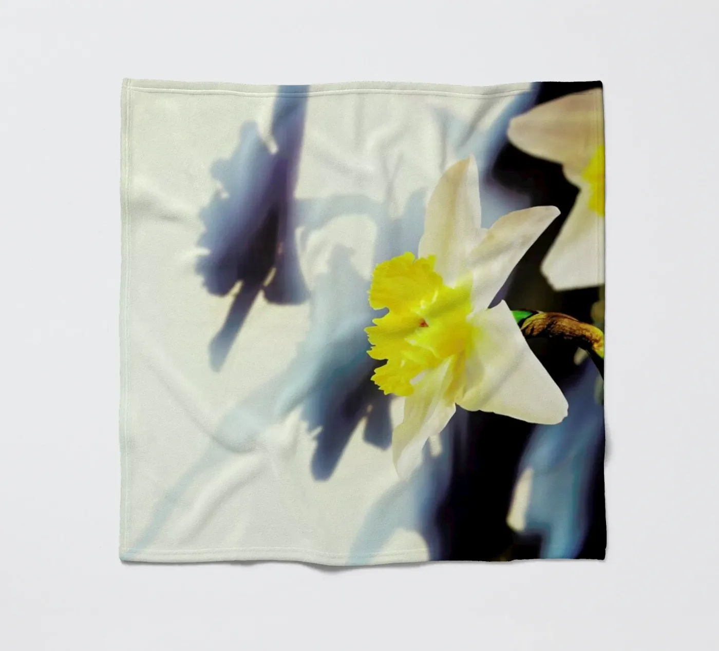 Daffodil Fleecedecke von Angelo Cerantola