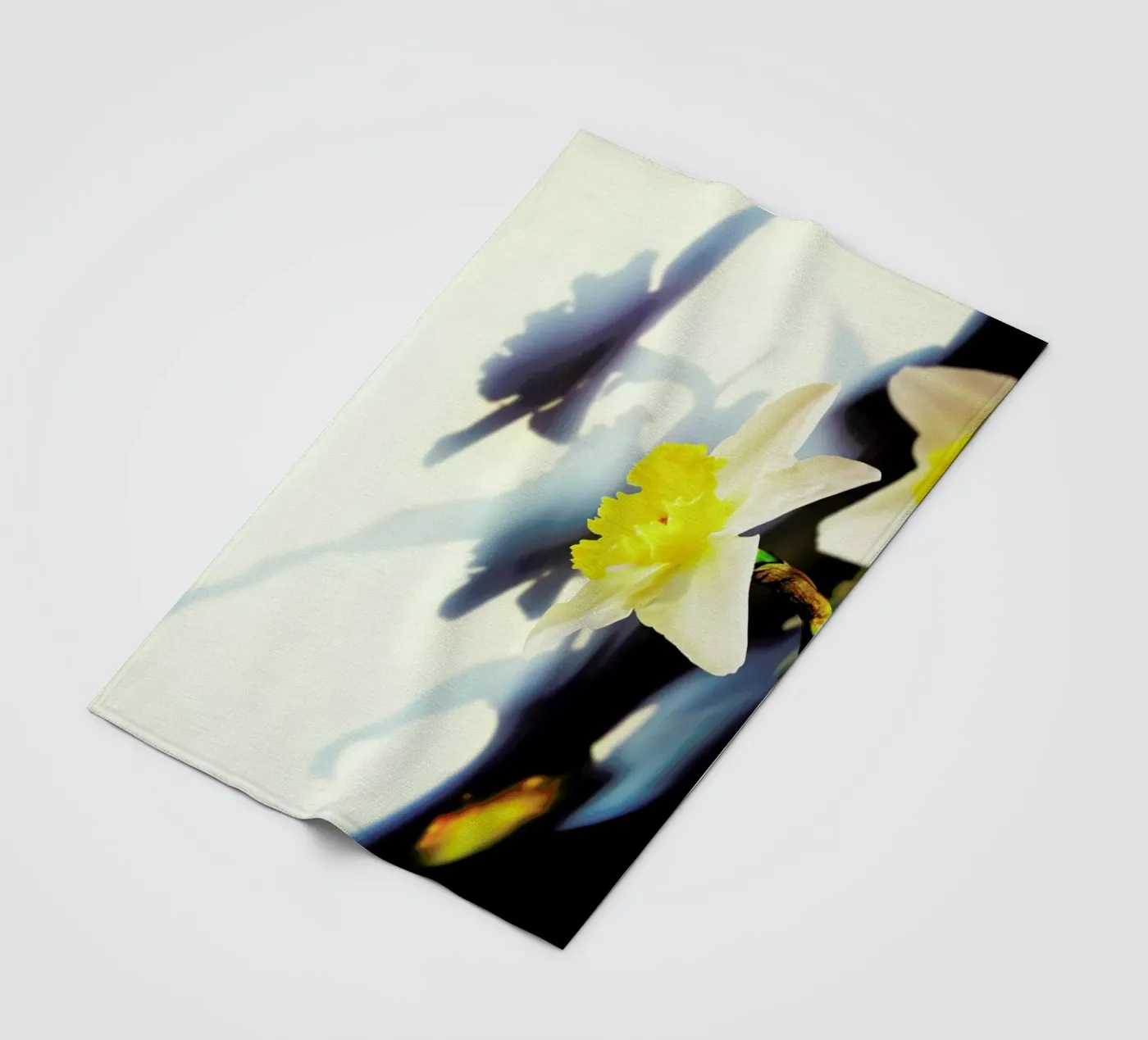 Daffodil Fleecedecke von Angelo Cerantola