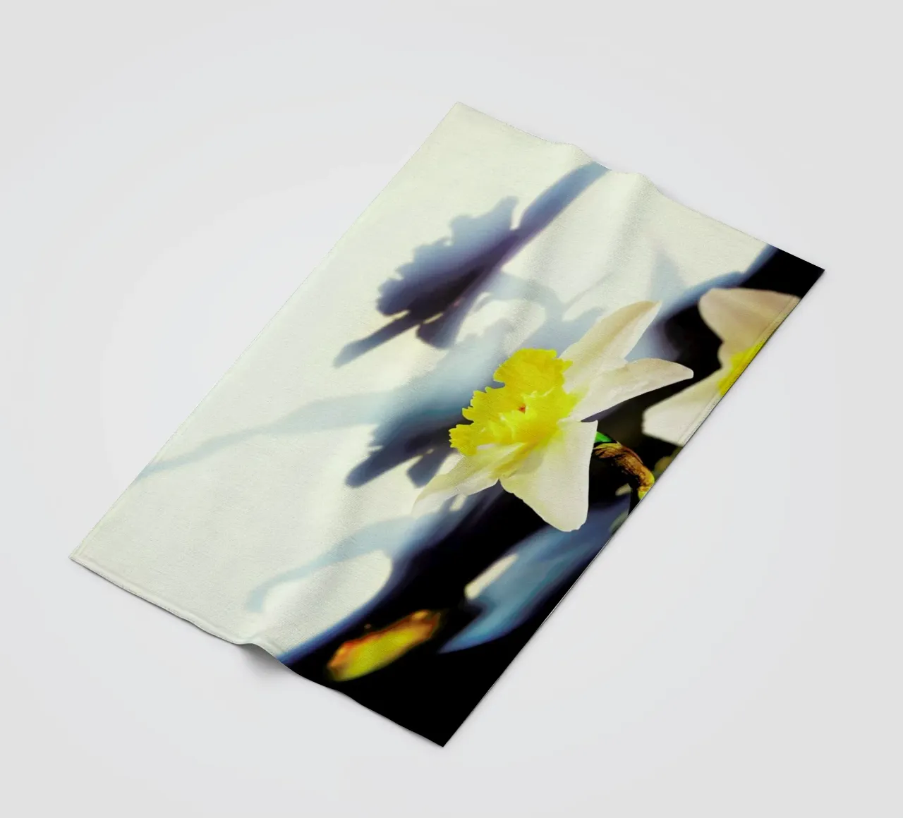 Daffodil Fleecedecke von Angelo Cerantola