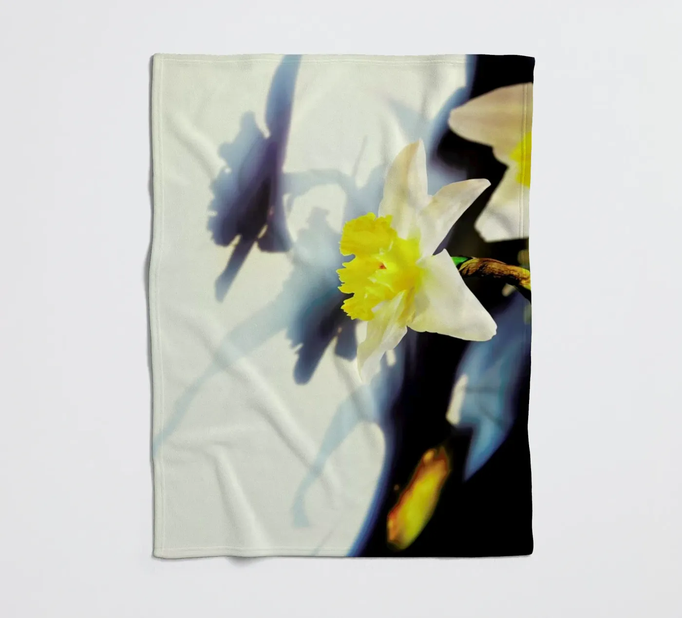 Daffodil Fleecedecke von Angelo Cerantola