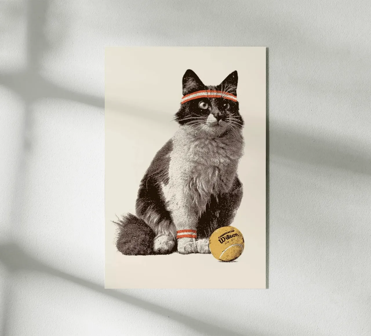 Tennis Cat plexiglass da Florent Bodart