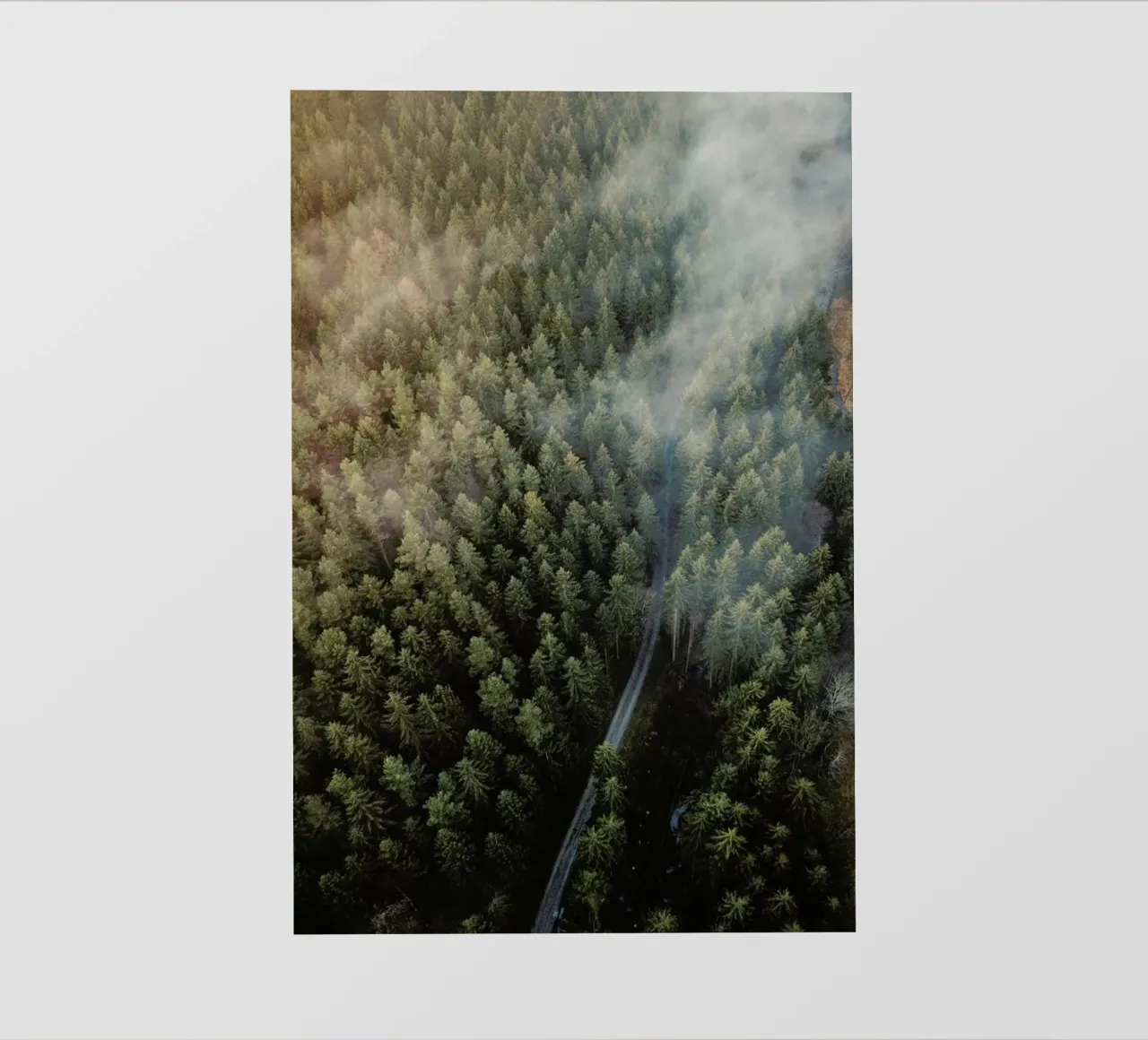 Misty Road by @bokehm0n pellicola backlit da EyeEm Mobile GmbH