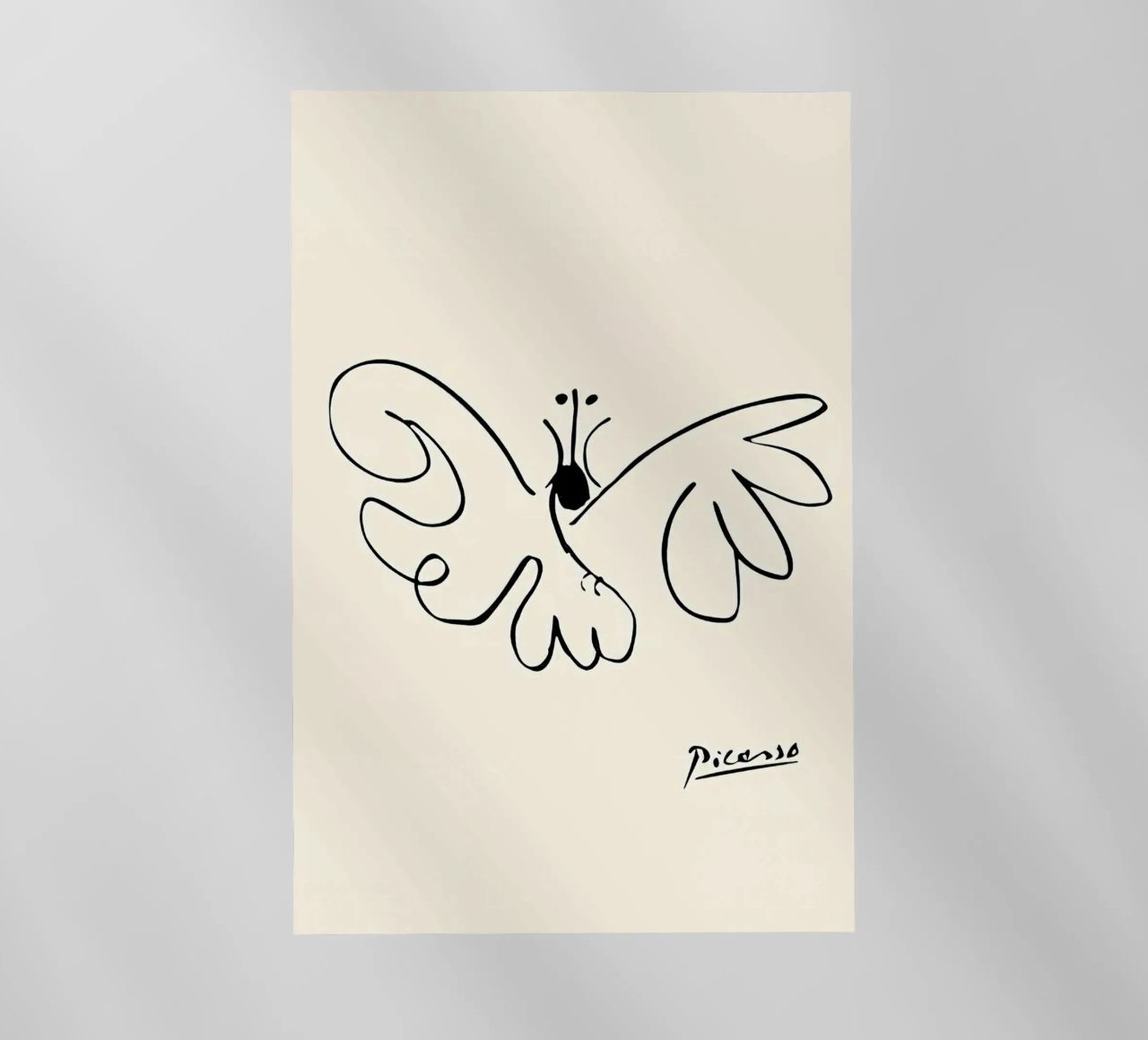Farfalla Picasso pellicola backlit da Kenneth