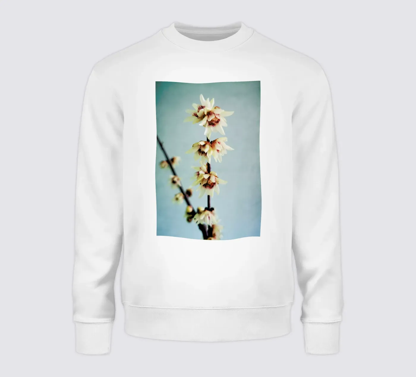 Simple sweatshirt by Angelo Cerantola