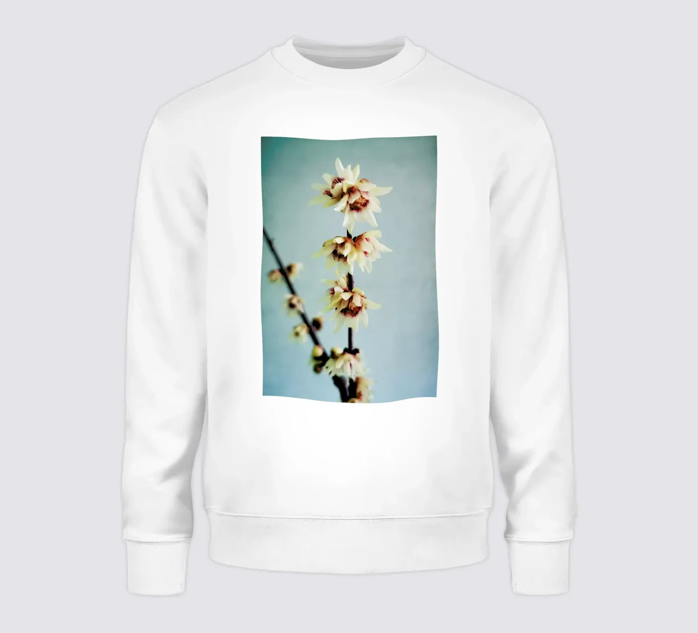 Simple sweatshirt by Angelo Cerantola
