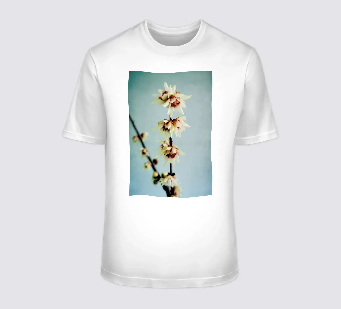 Simple t-shirt da Angelo Cerantola