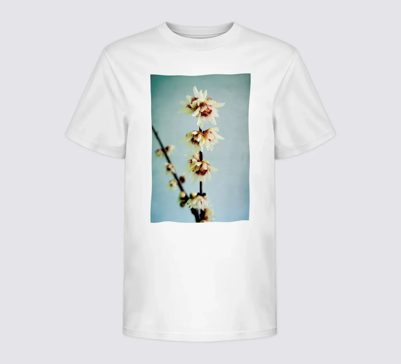 Simple kinder t-shirt van Angelo Cerantola