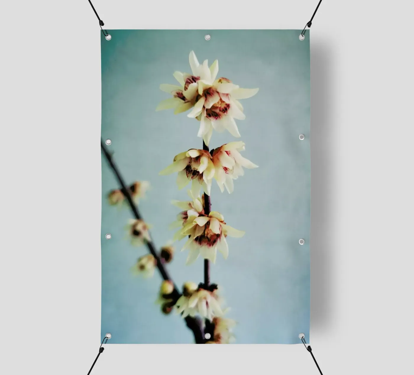 Simple pvc cover by Angelo Cerantola