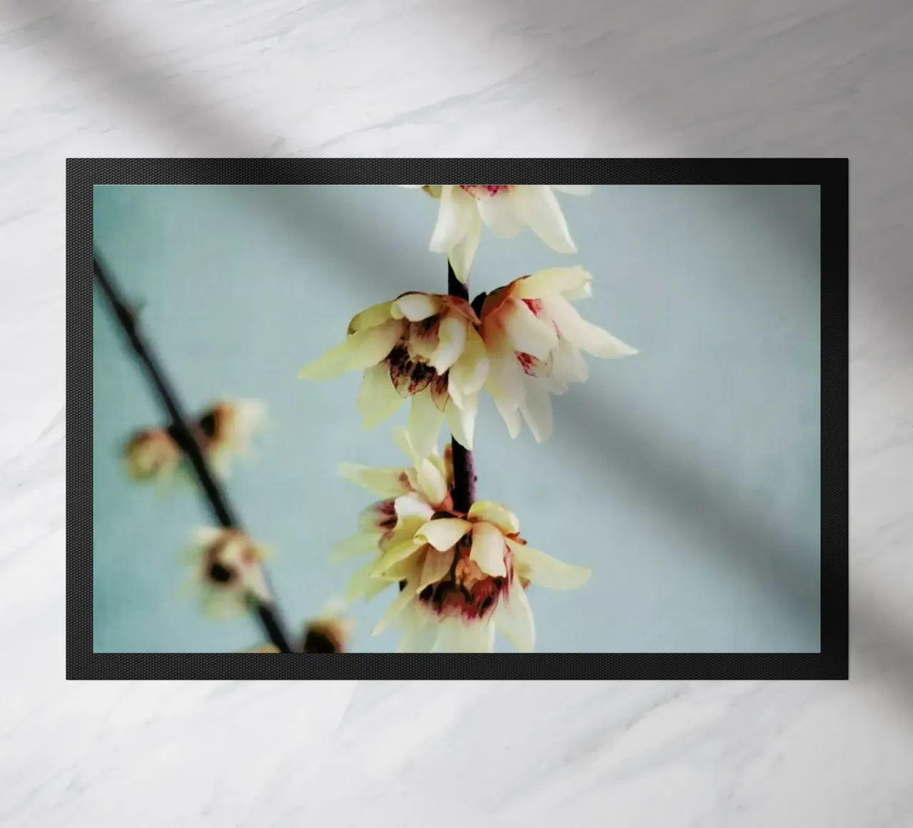 Simple zerbino da Angelo Cerantola