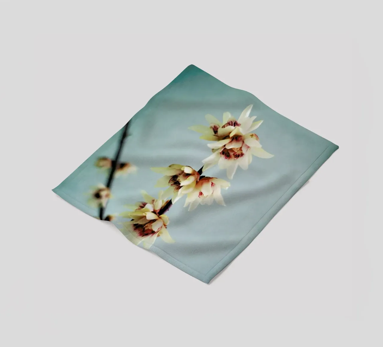 Simple Fleecedecke von Angelo Cerantola