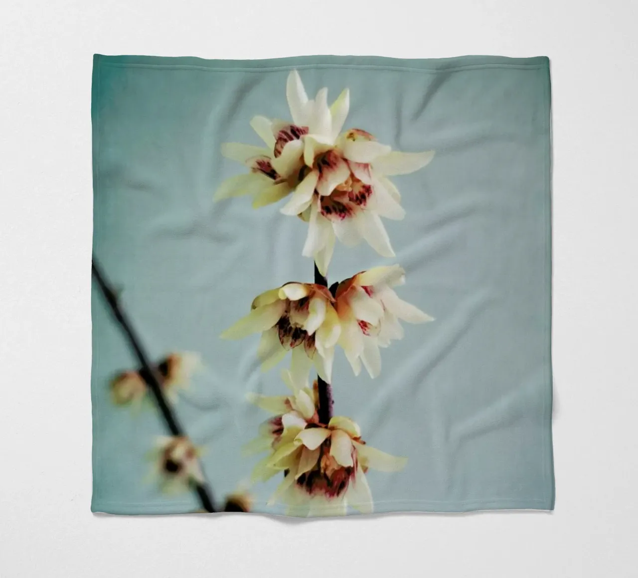 Simple Fleecedecke von Angelo Cerantola