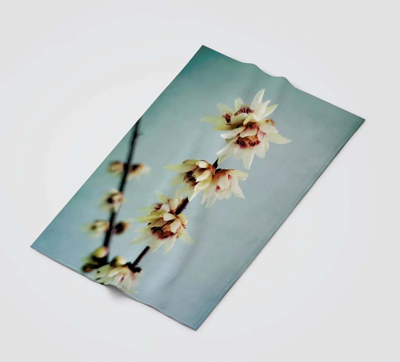 Simple coperta in pile da Angelo Cerantola