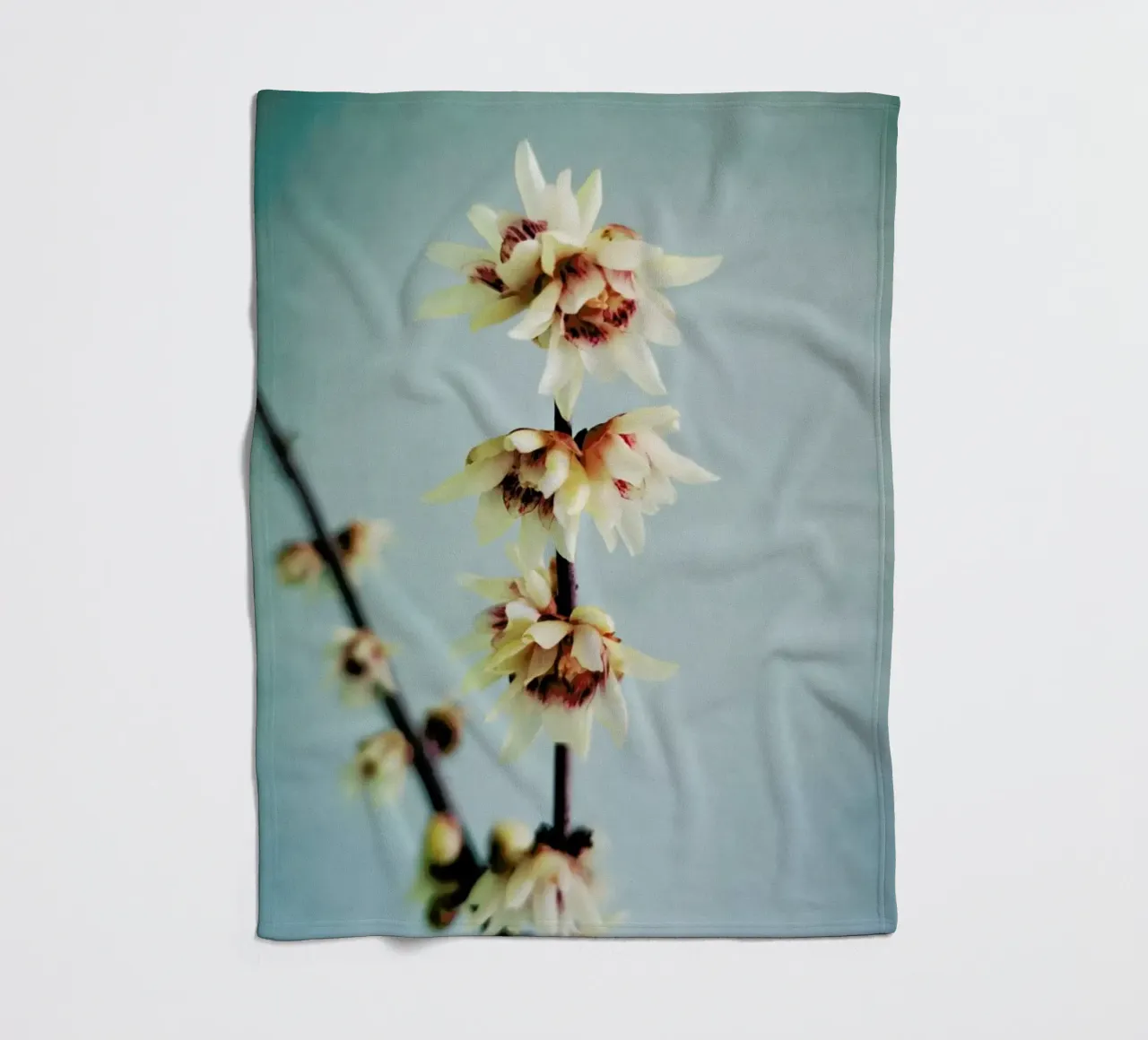 Simple Fleecedecke von Angelo Cerantola