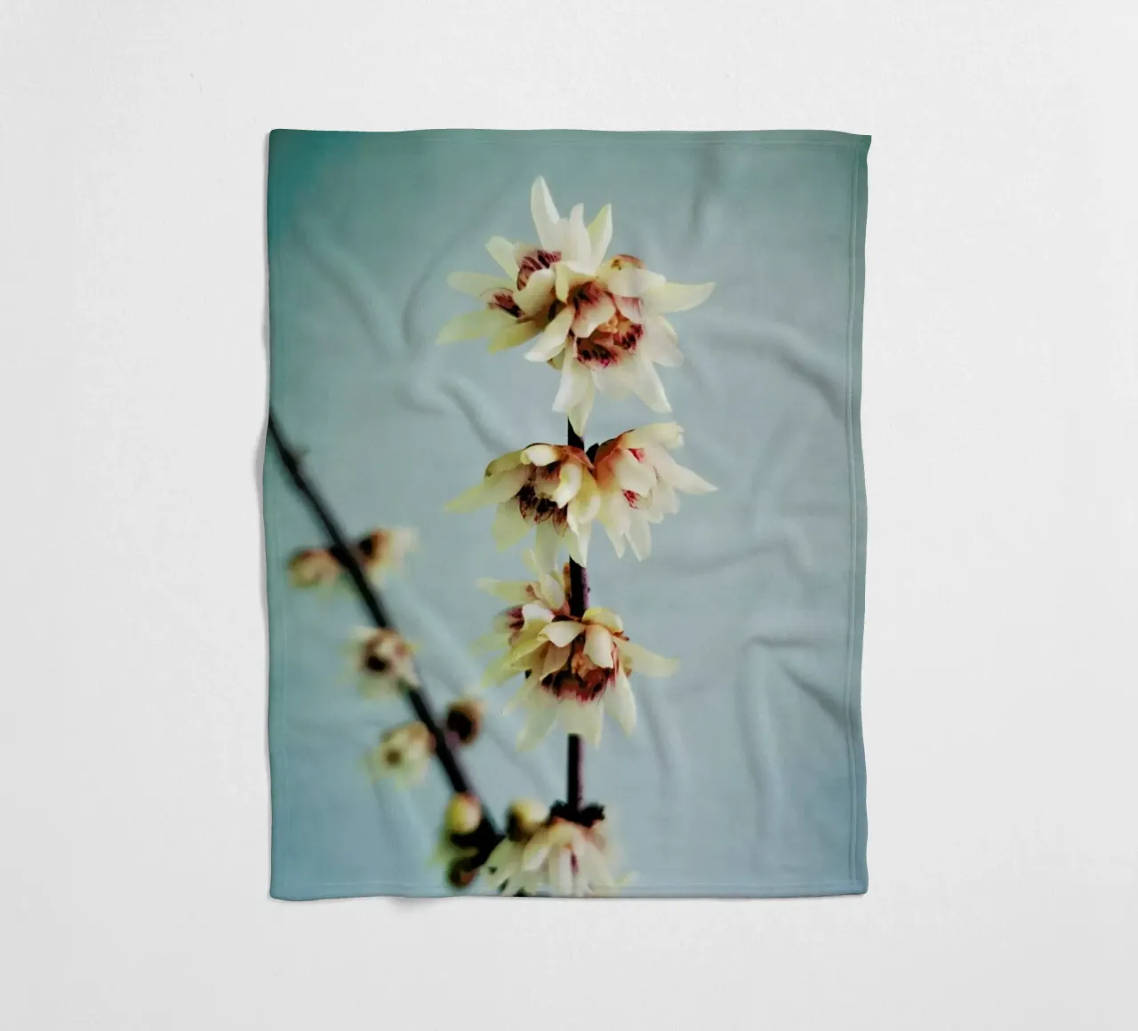 Simple Fleecedecke von Angelo Cerantola