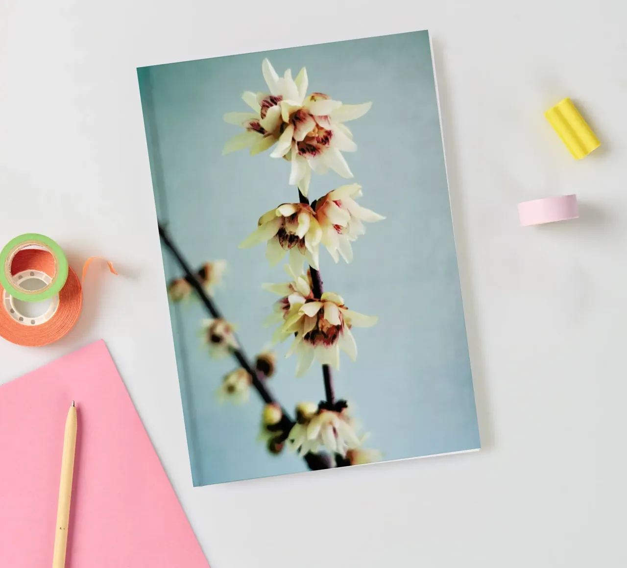 Simple notebook by Angelo Cerantola