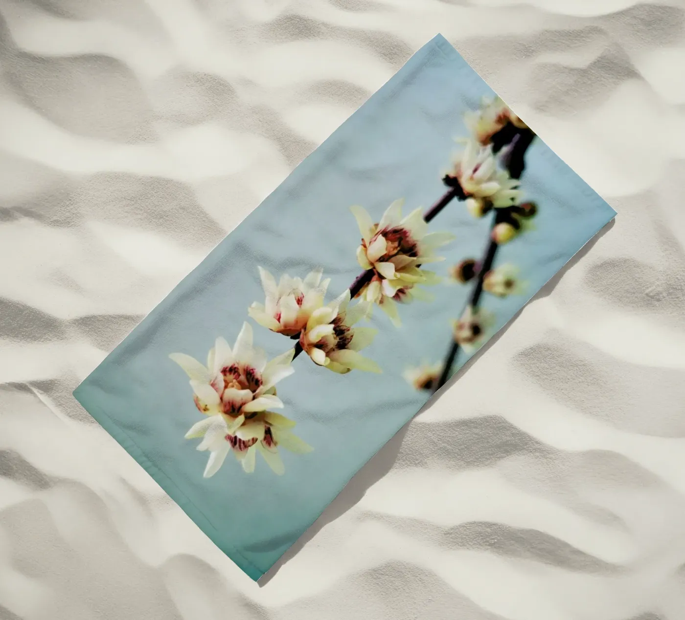 Simple telo mare da Angelo Cerantola