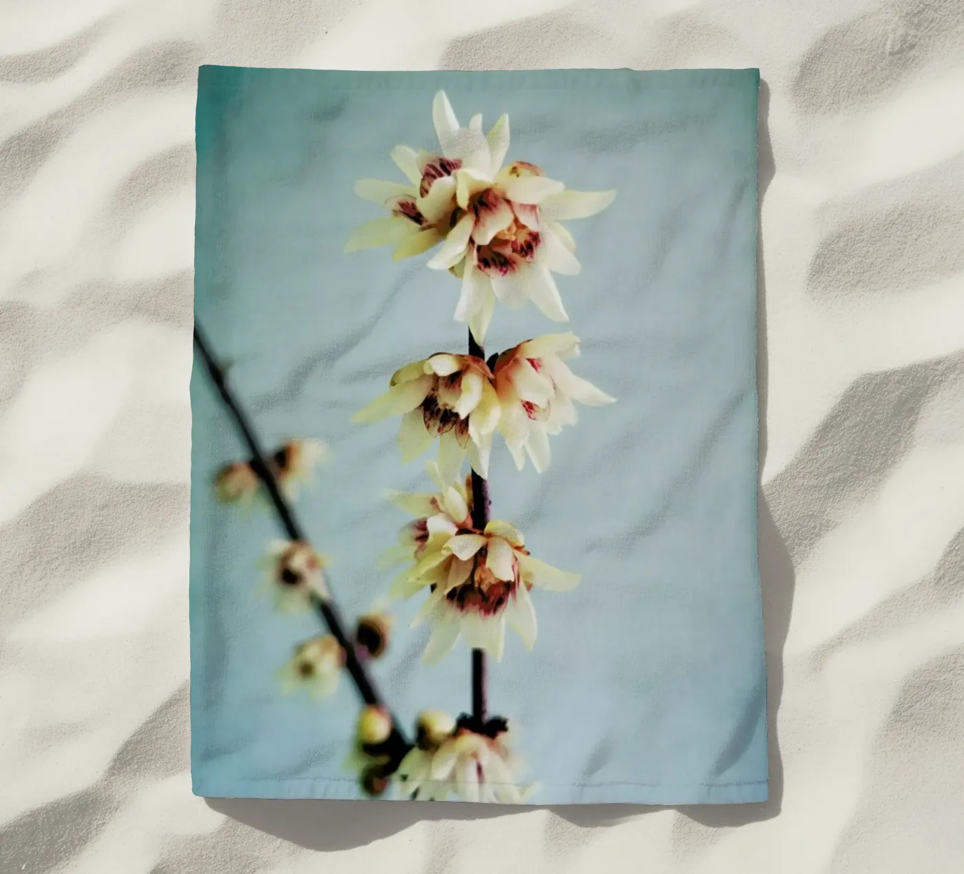 Simple telo mare da Angelo Cerantola