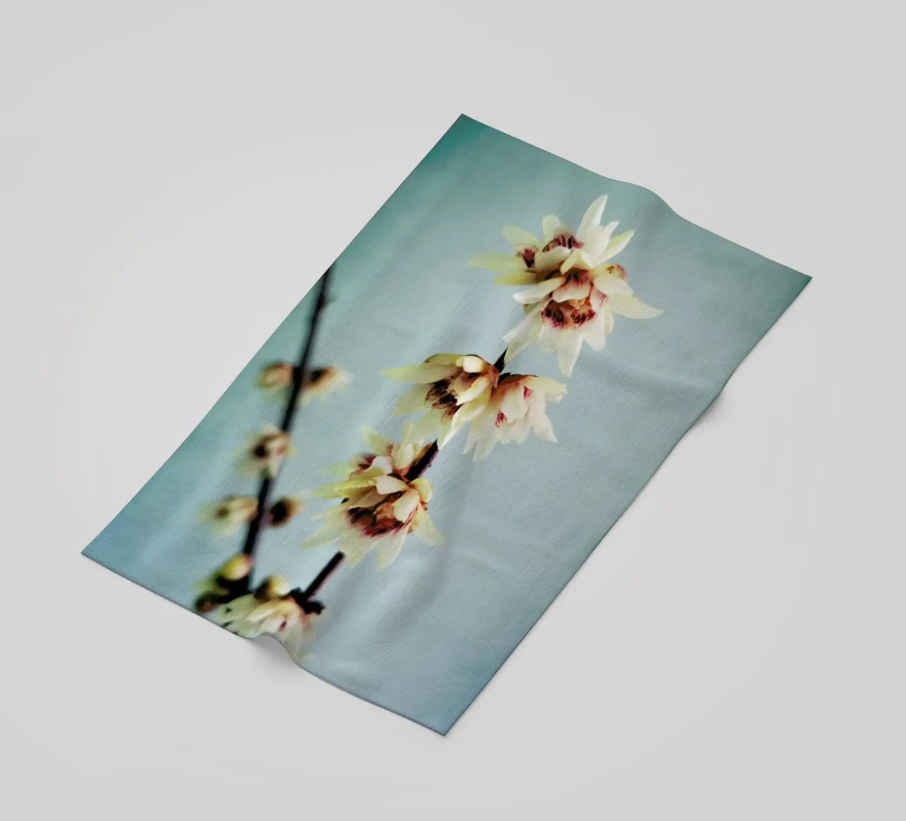 Simple telo mare da Angelo Cerantola