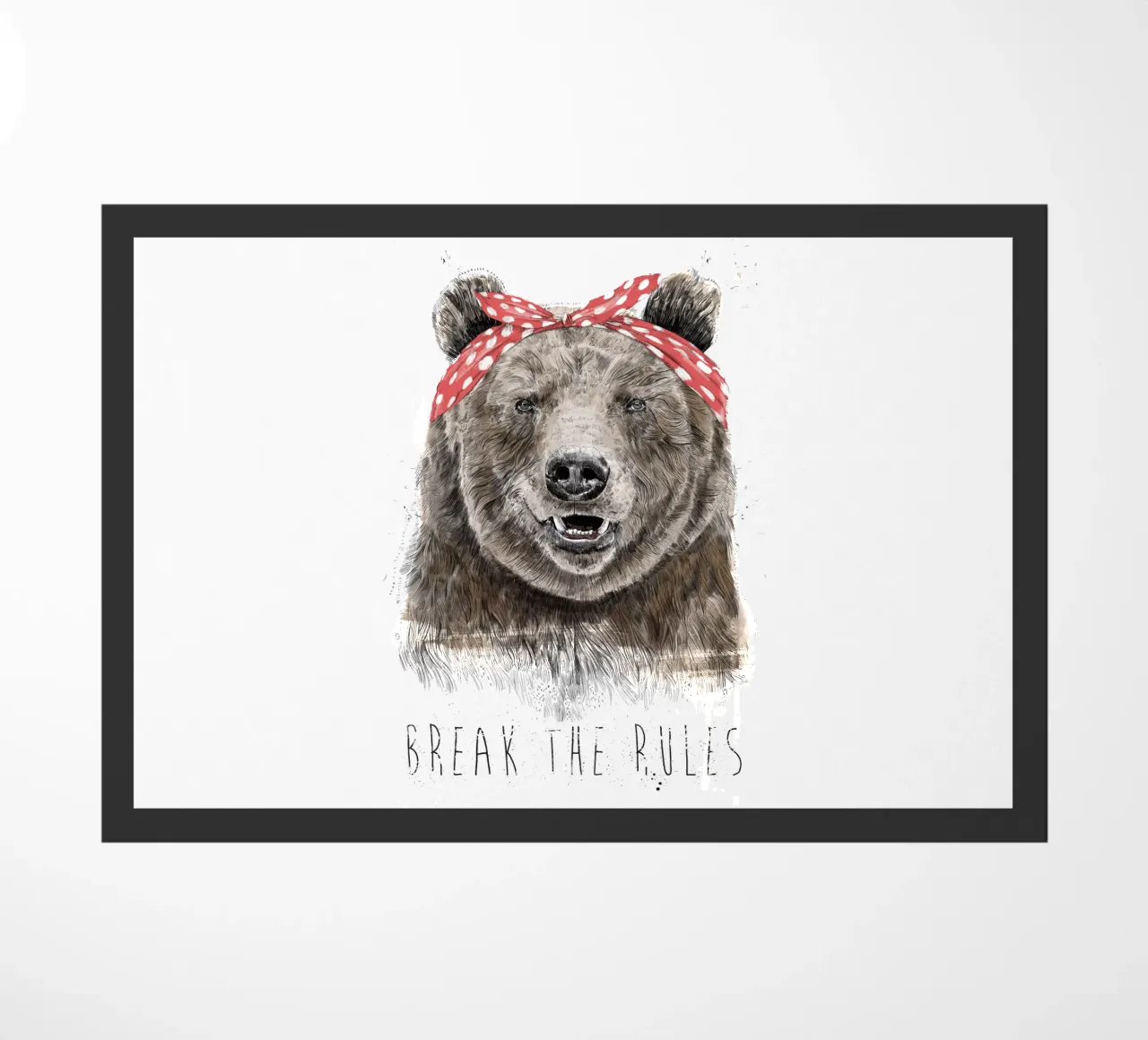 Break The Rules zerbino da Balazs Solti