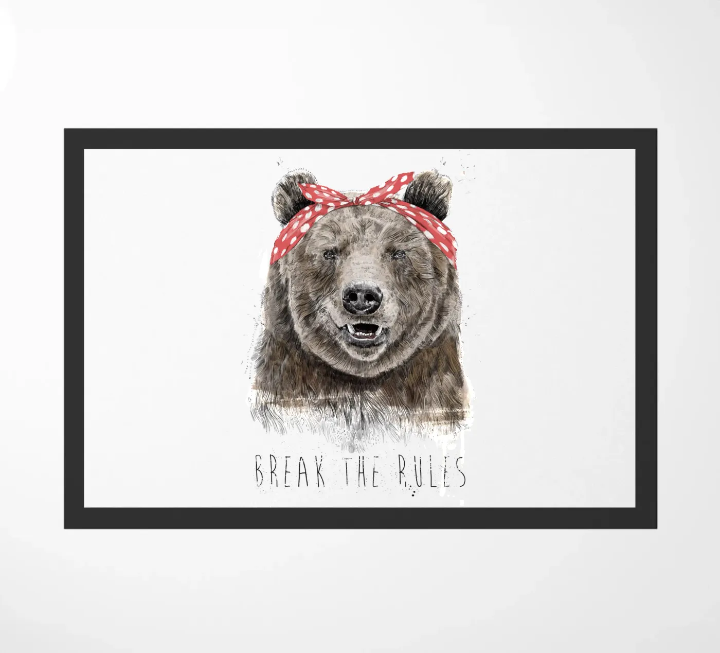 Break The Rules zerbino da Balazs Solti