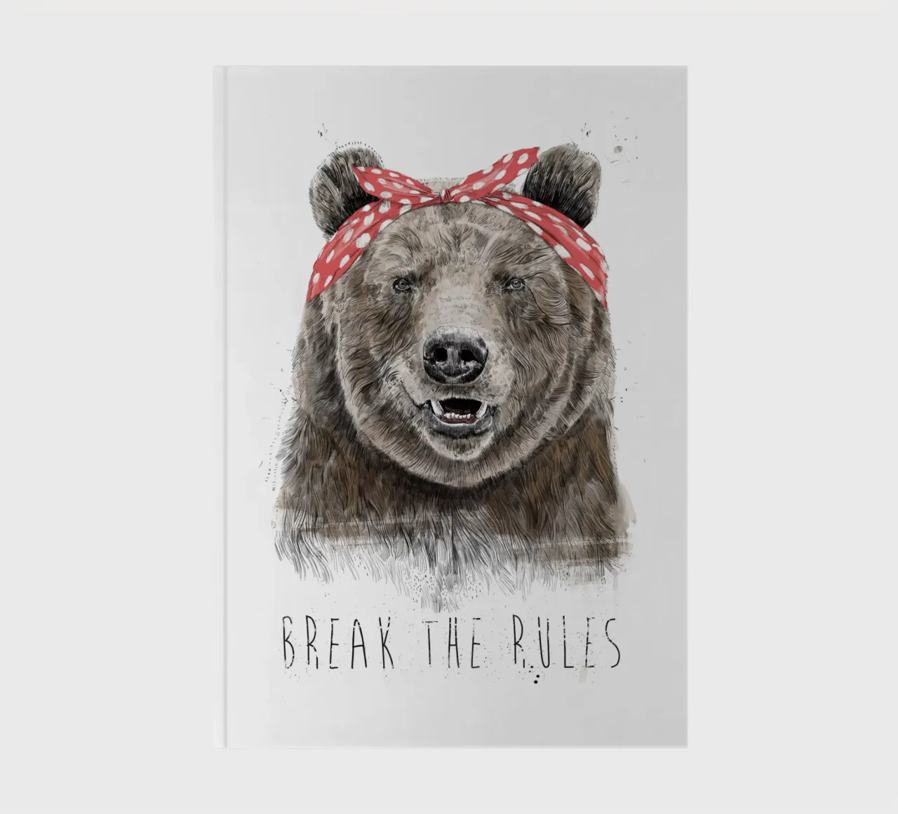 Break The Rules notebook by Balazs Solti