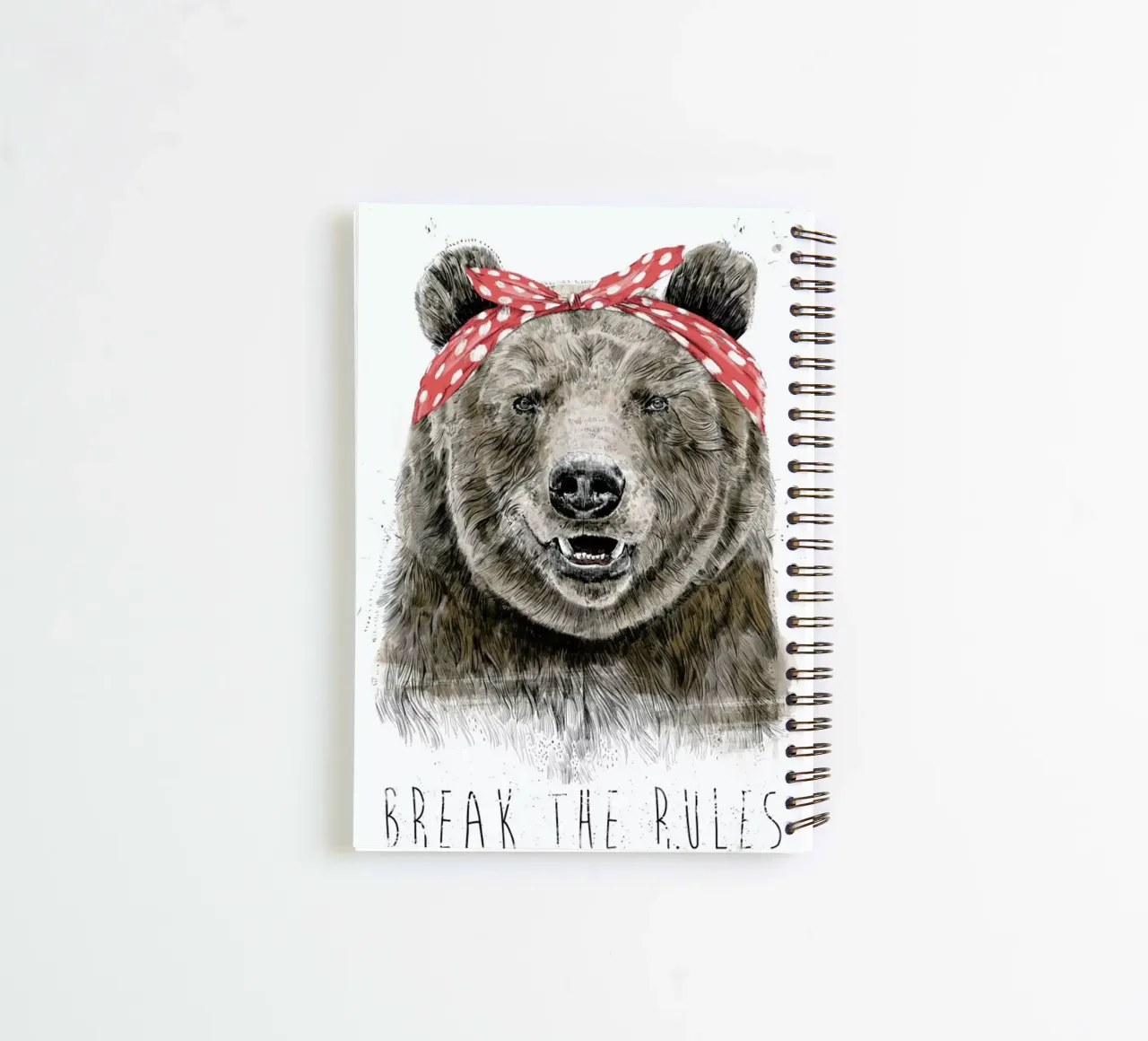 Break The Rules spiral notebook by Balazs Solti